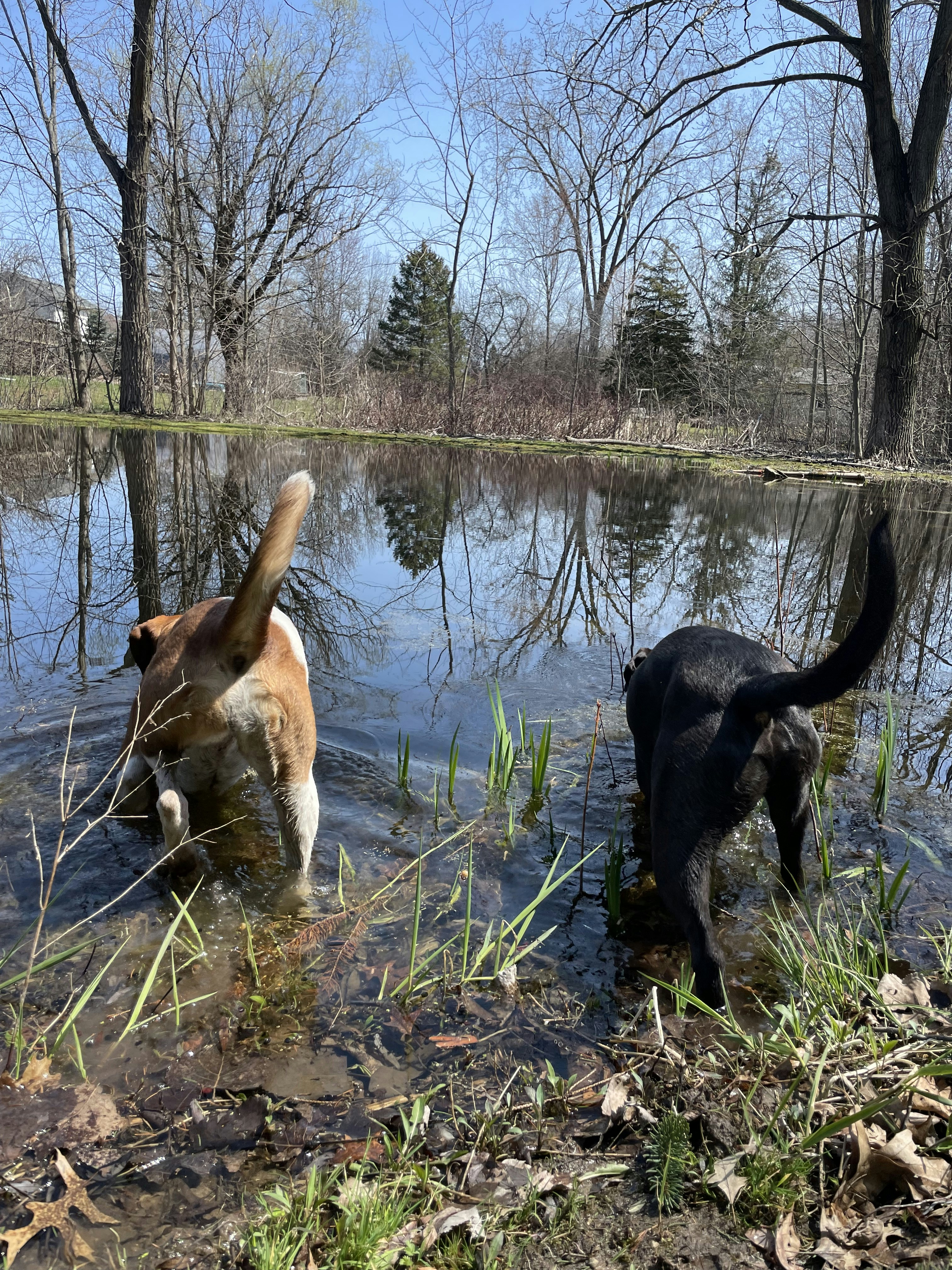 ICYMI: SATURDAY MORNING PREGAME CHAT, WEEK 10