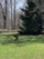 Happy family with two dogs playing in a clean, green yard on a sunny day.