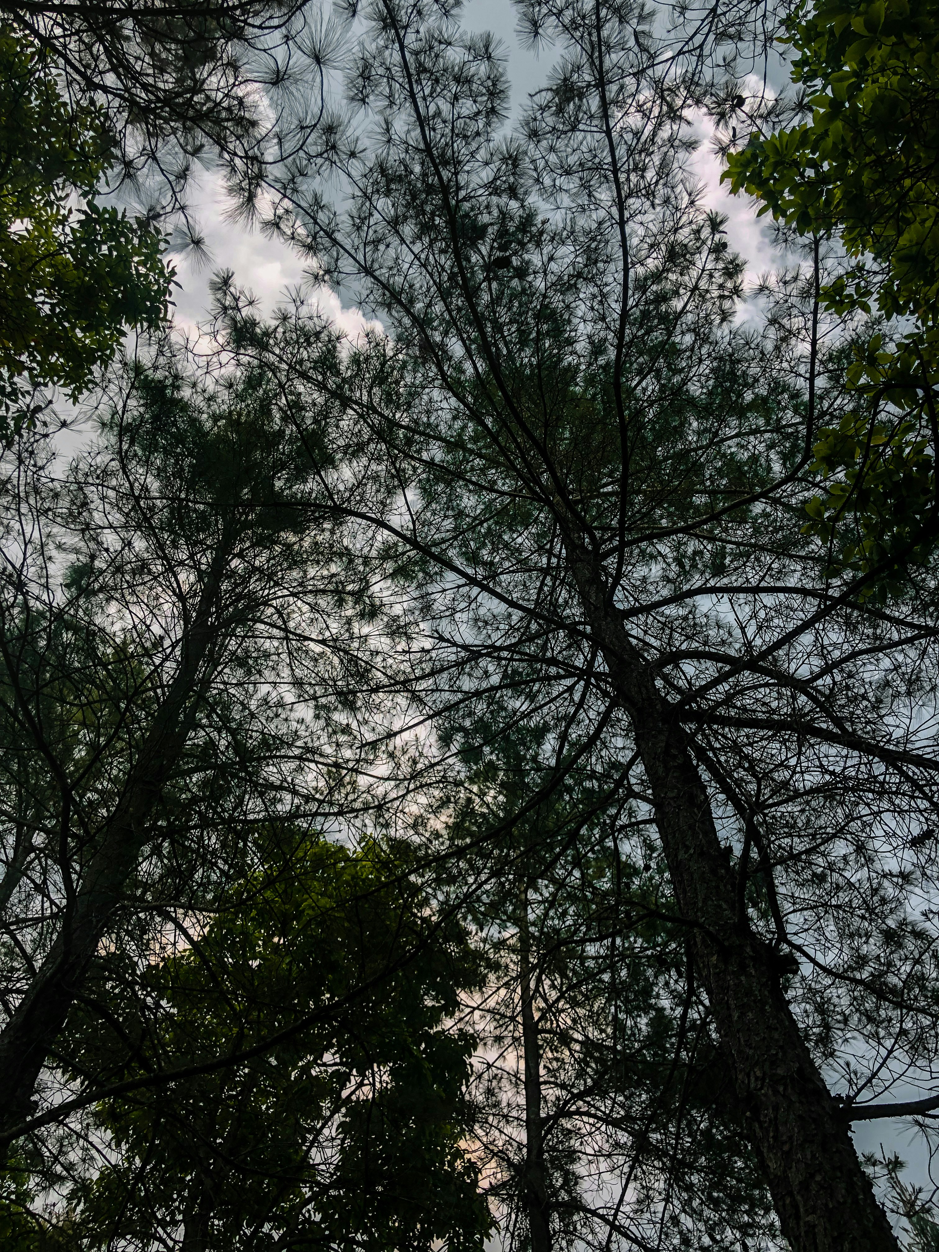 Photo by basnetprabin66