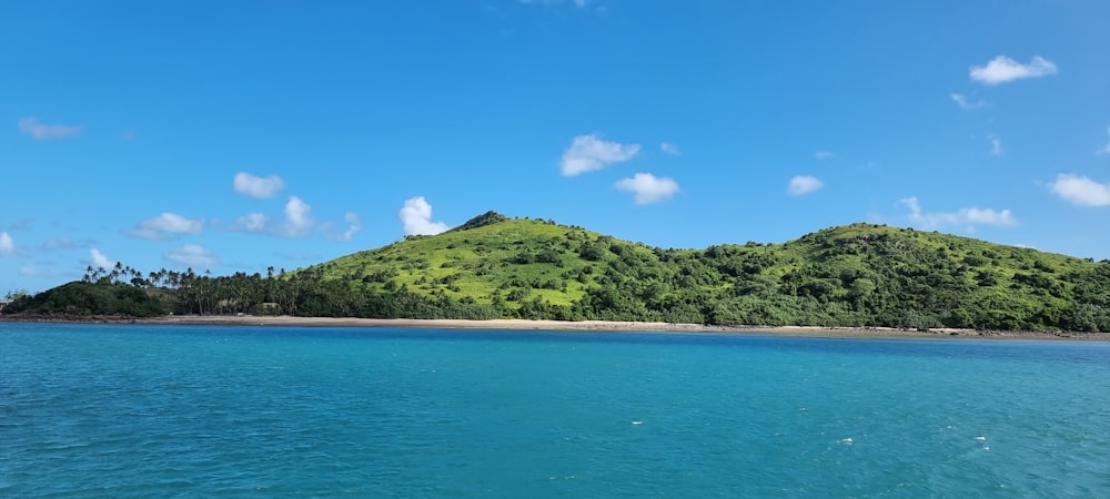 a body of water with trees on the side