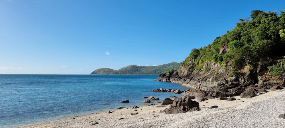 uma praia com uma colina e árvores