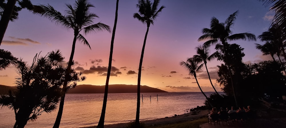 a beach with palm trees and water