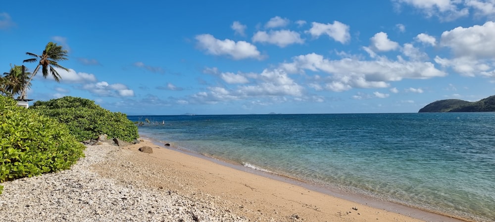 a sandy beach with trees and blue water