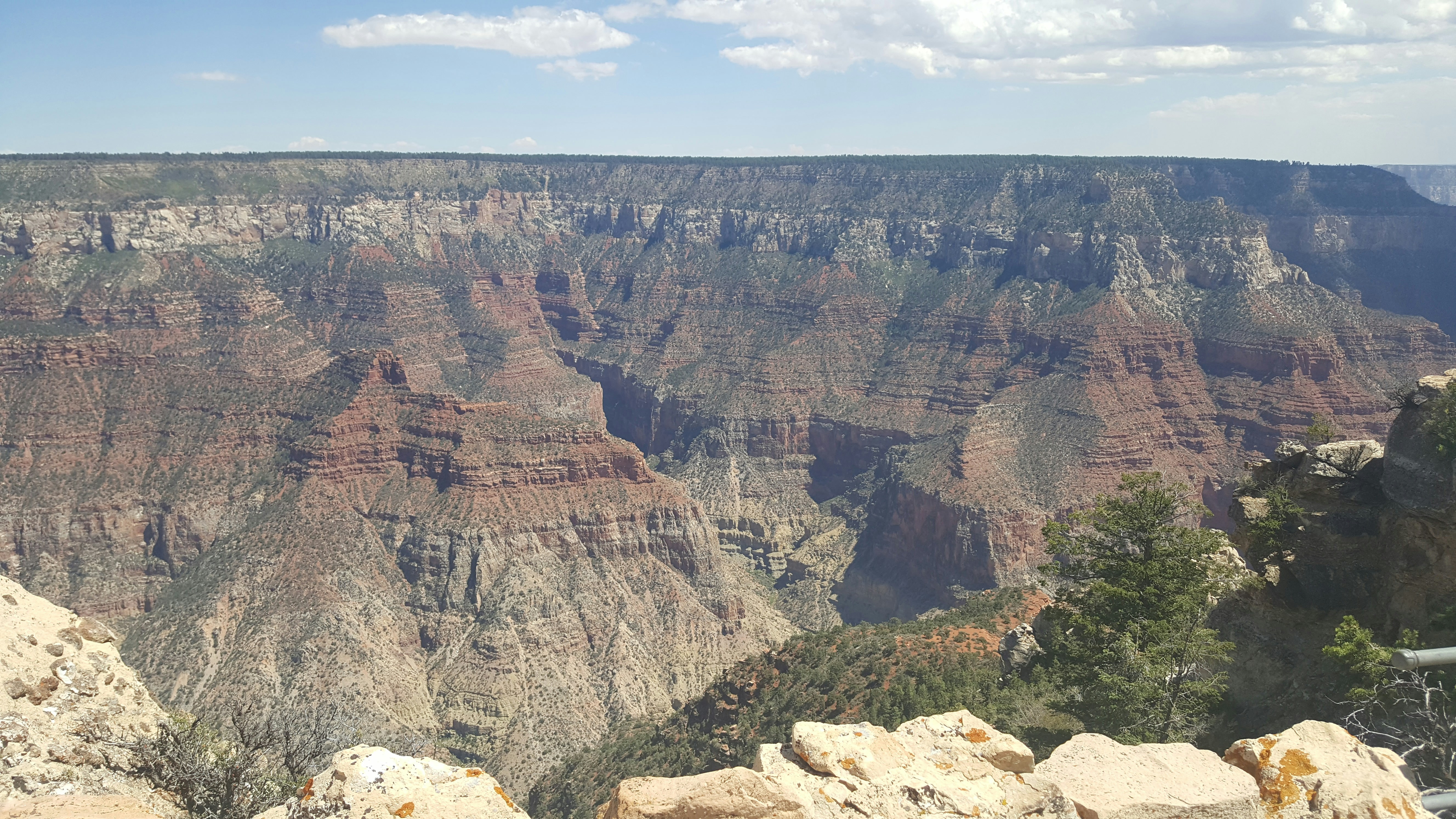 Photo by prphotography262