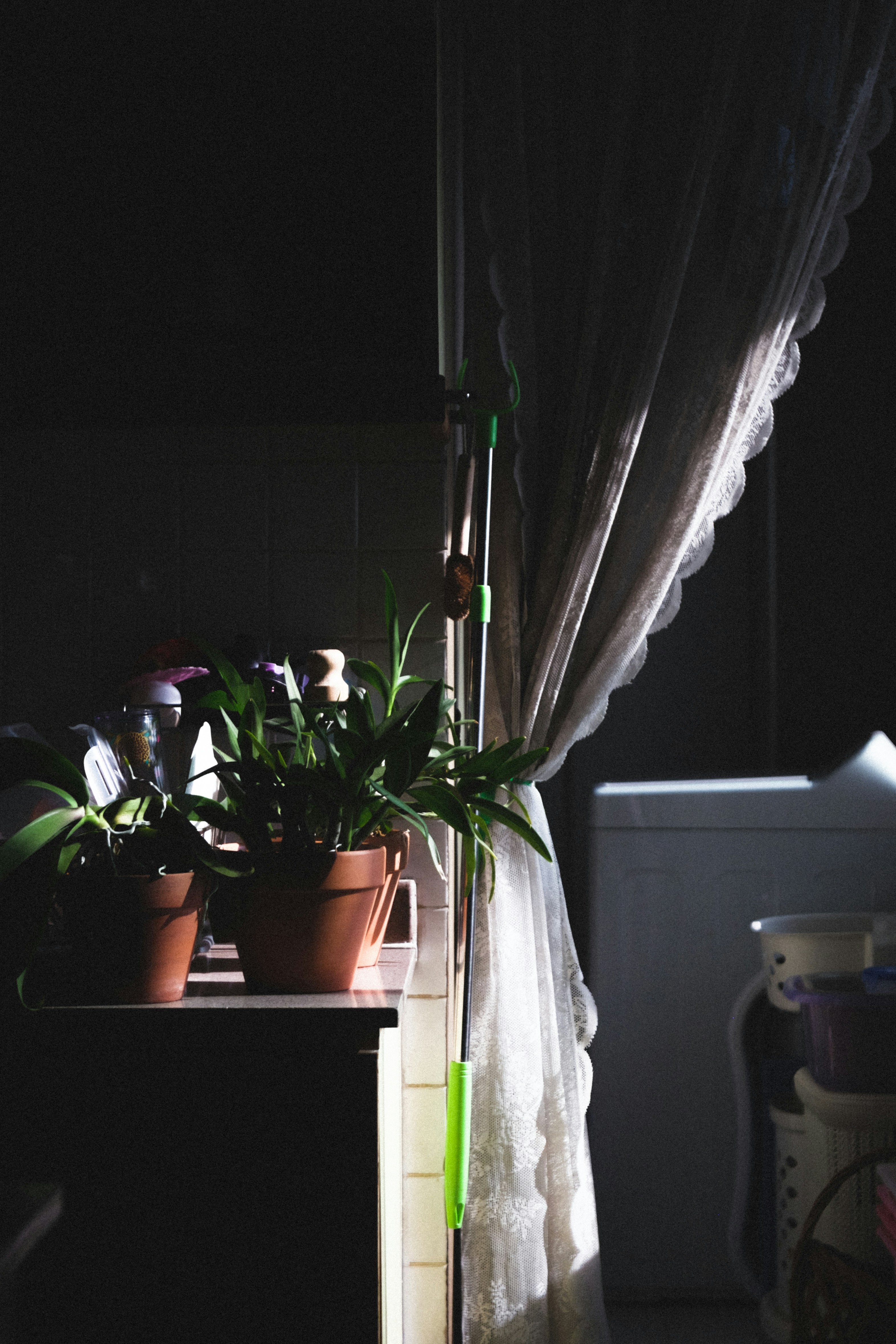 Photo by jhudsongraves