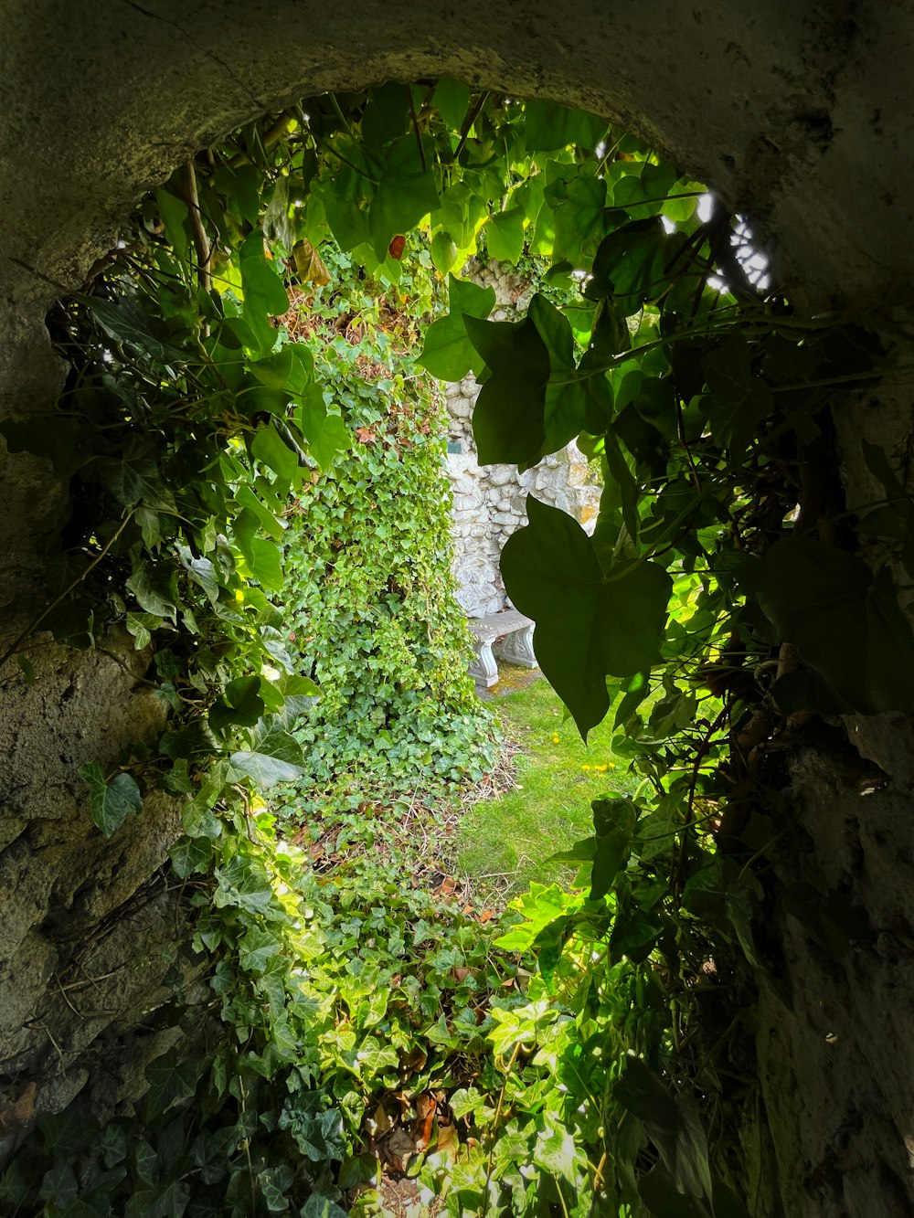 a stone archway with plants growing on it