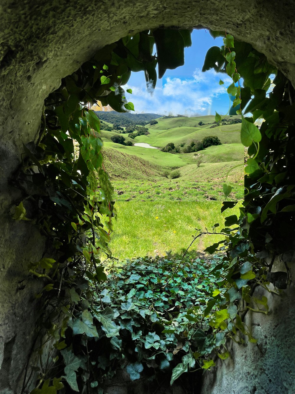 a view through a window of a green field and trees