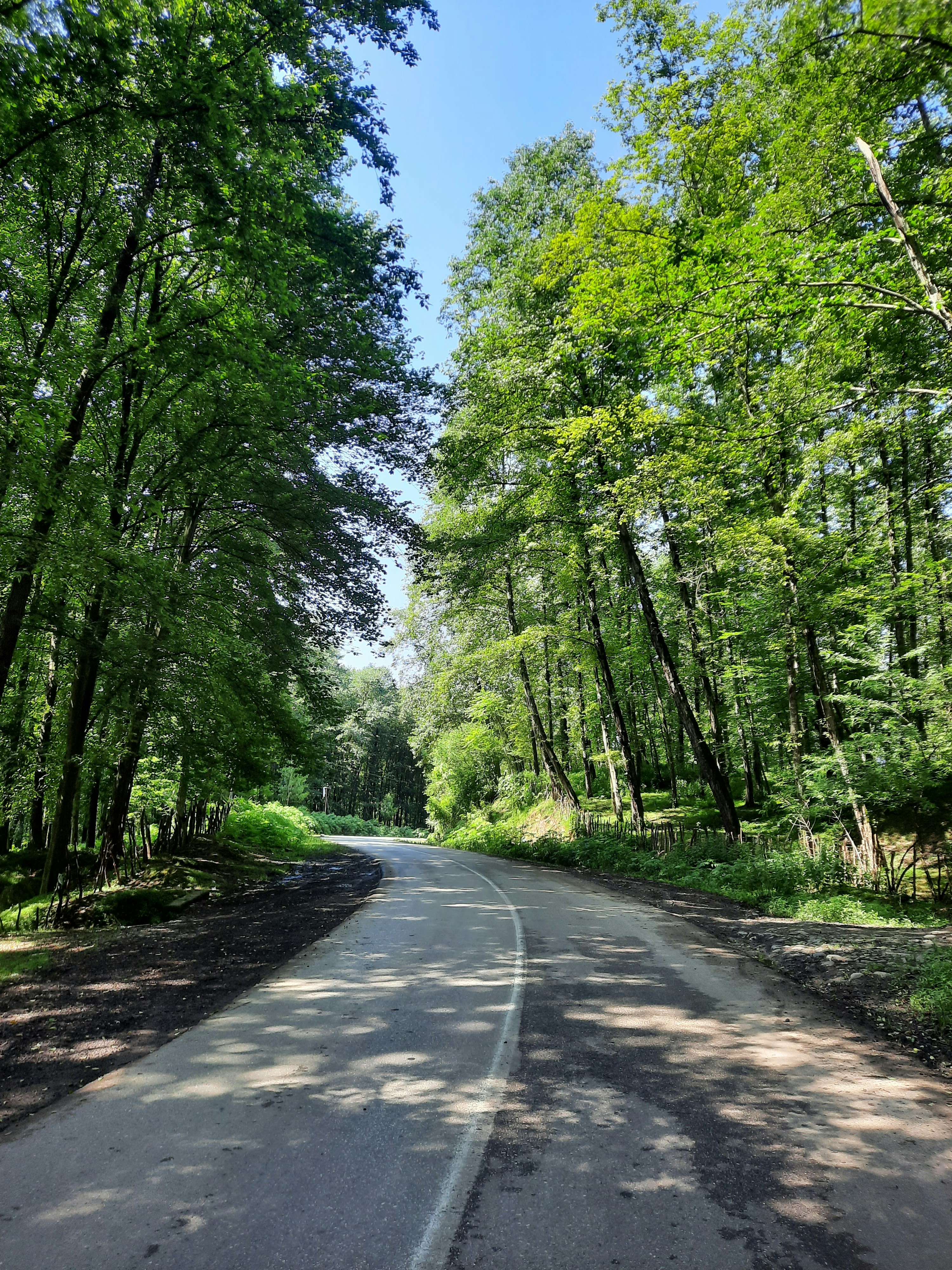 Photo by muhammadali666