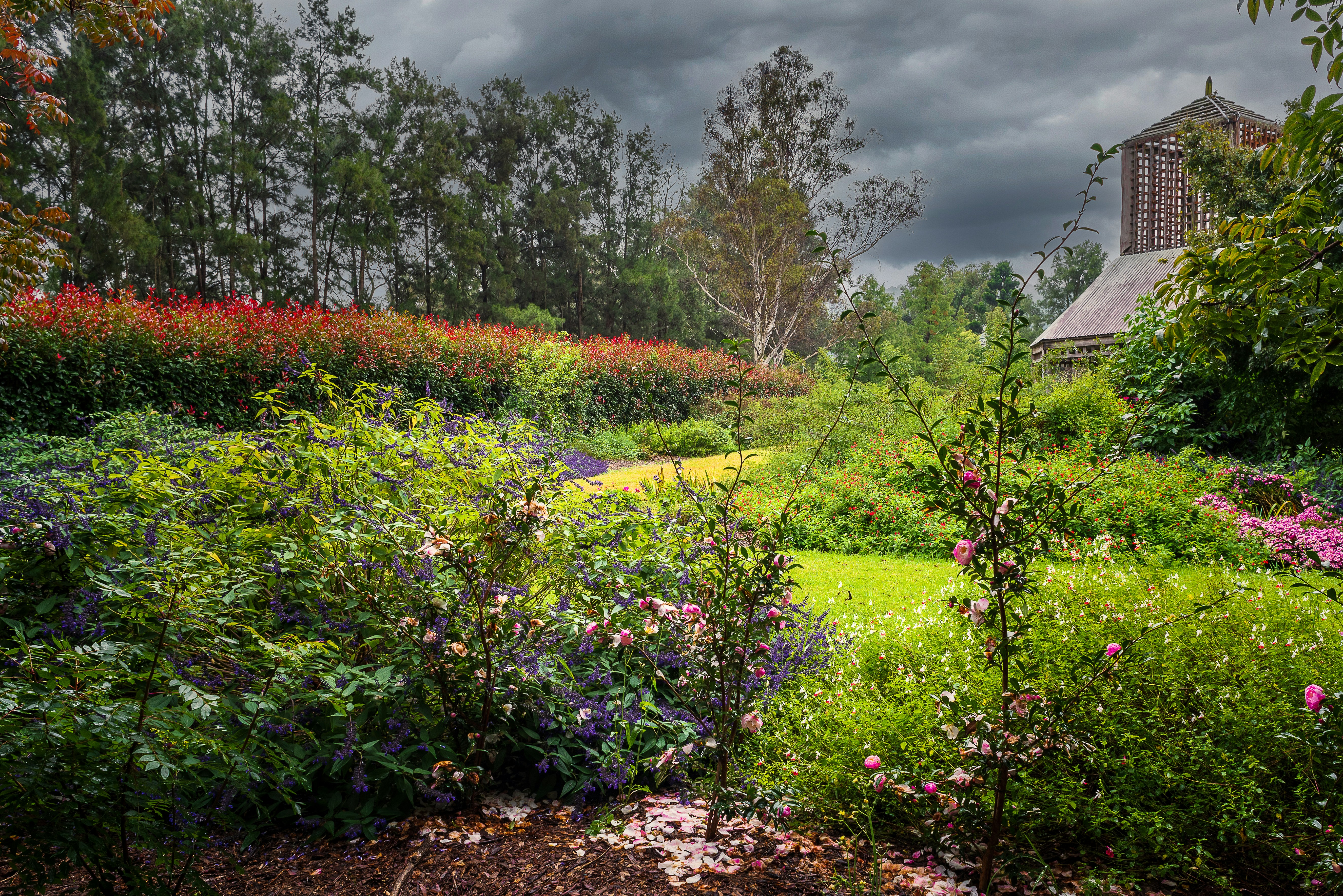 Garden with flower beds and trees