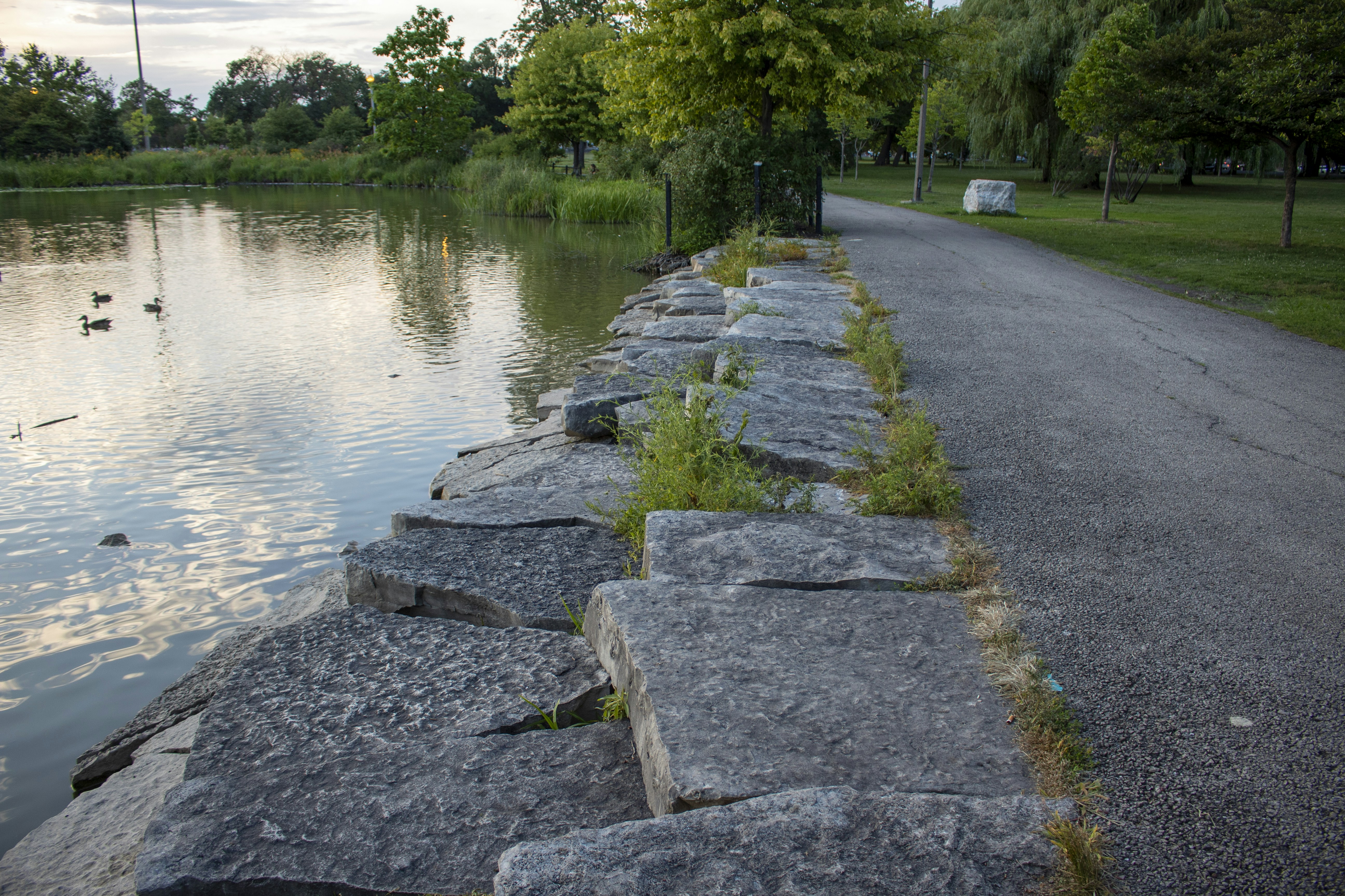 a path with rocks and grass by a body of water