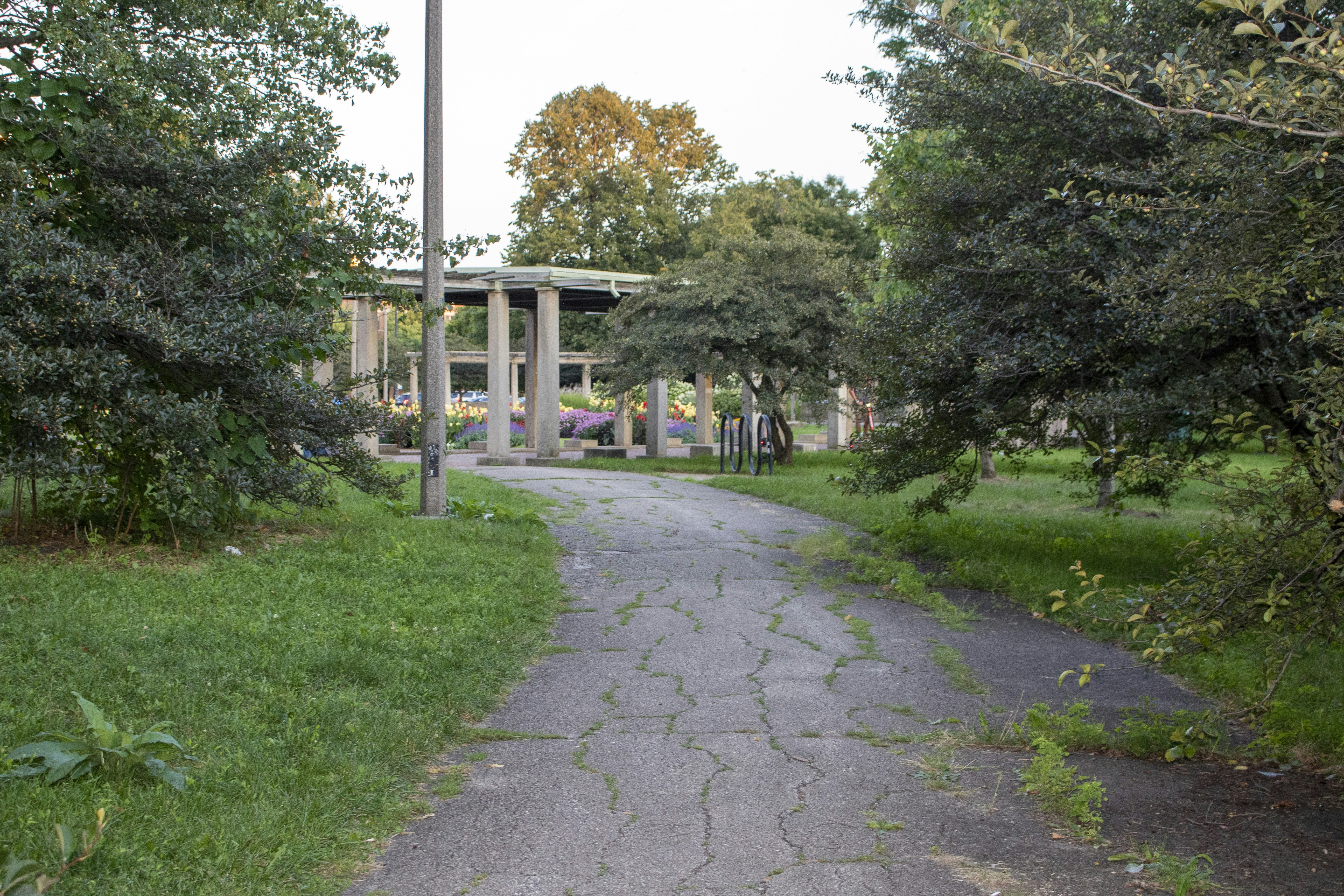 a path with grass and trees