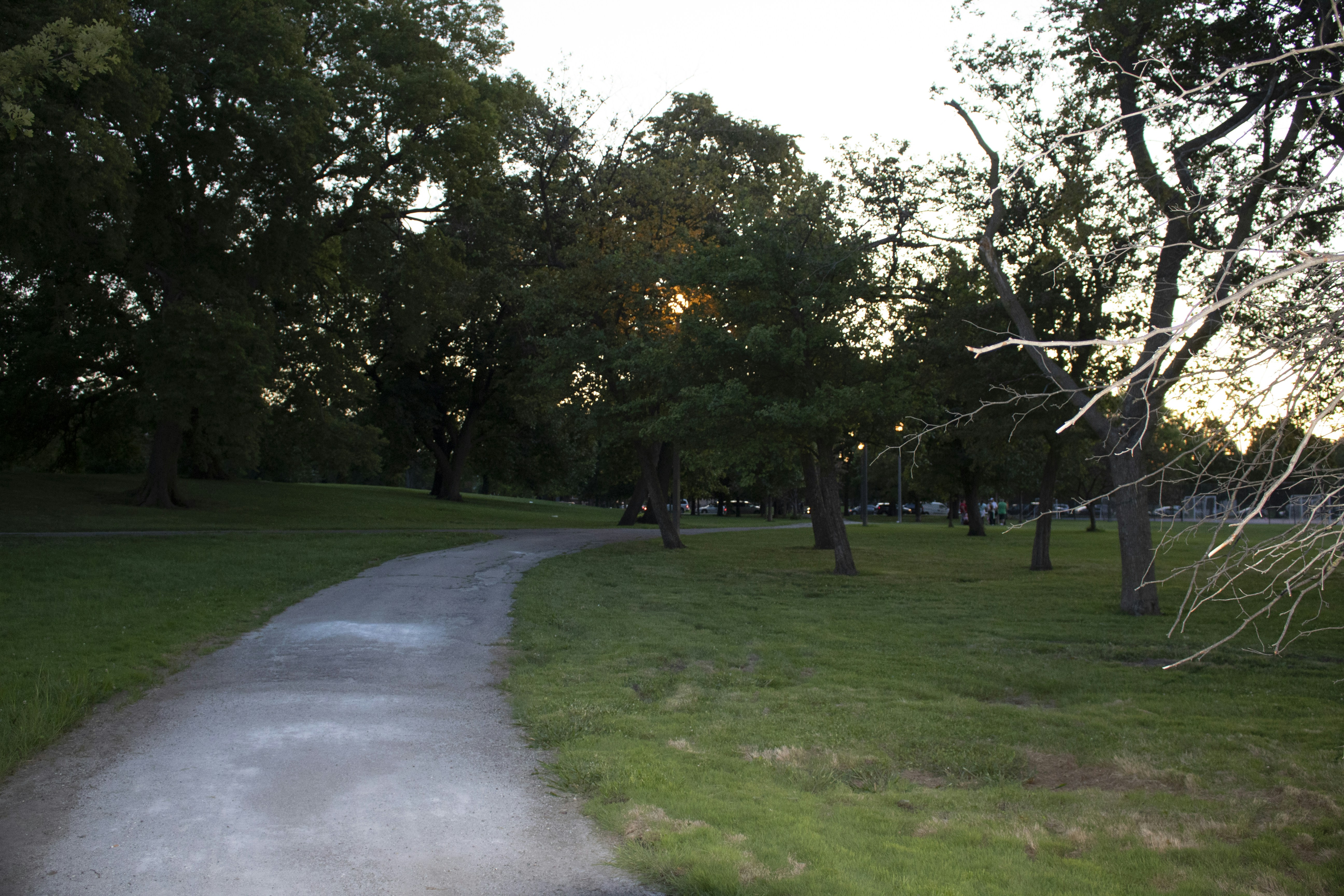 Photo by cortez197_ on Unsplash