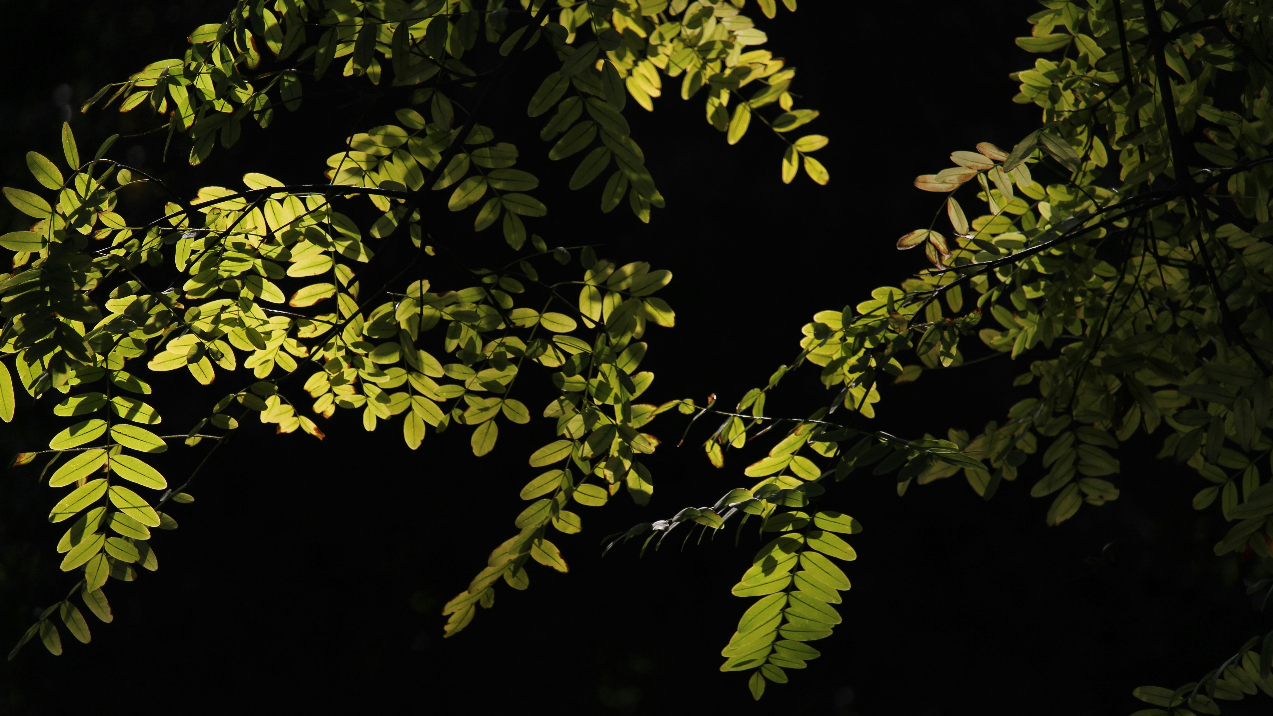 Photo by dustyrainbows