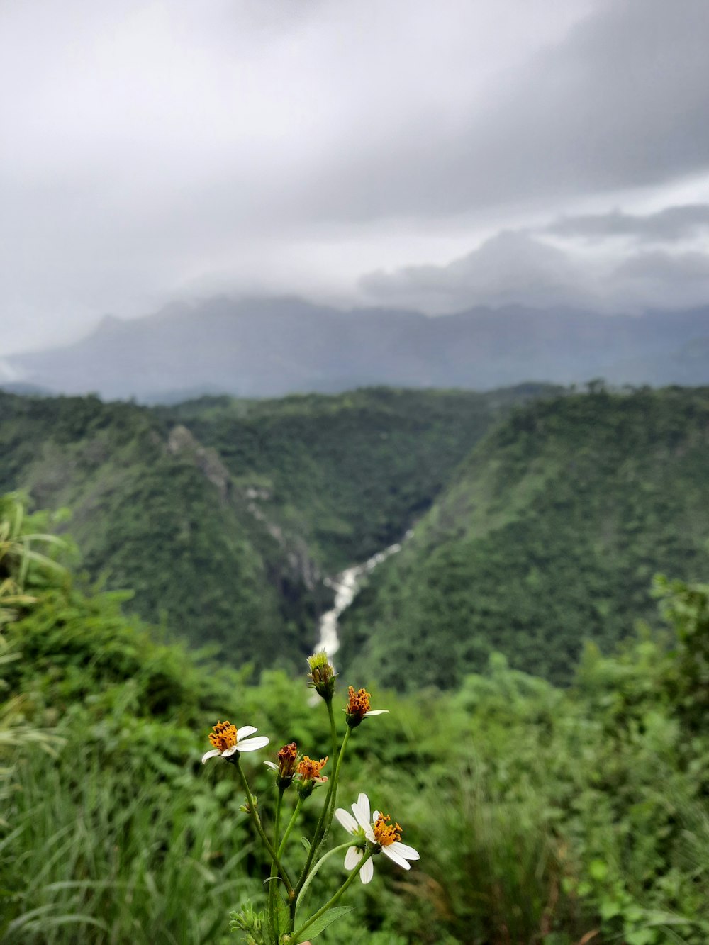 a waterfall in a valley