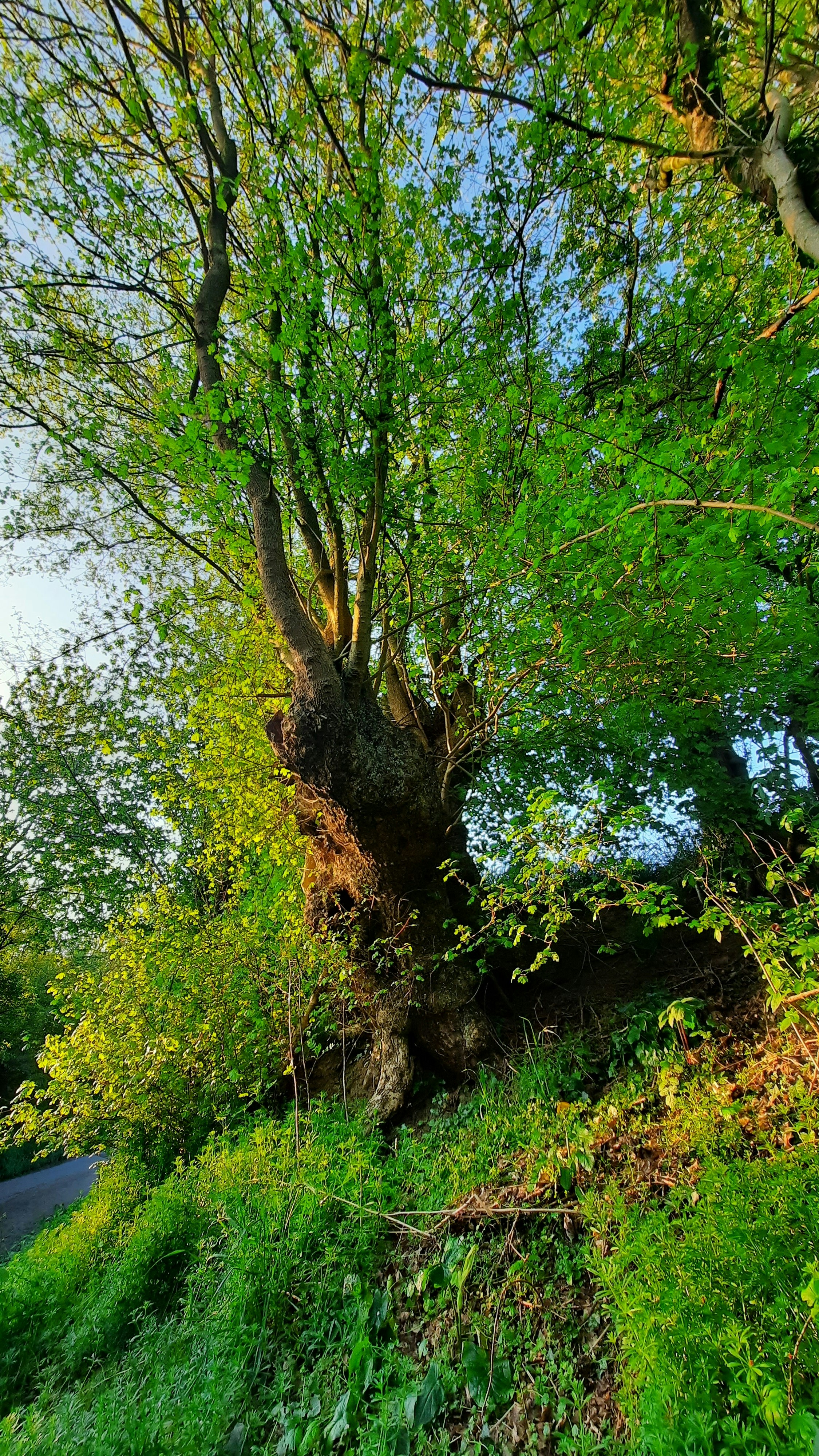 Photo by gatienbataille