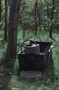 a metal bucket on a wooden box in the woods