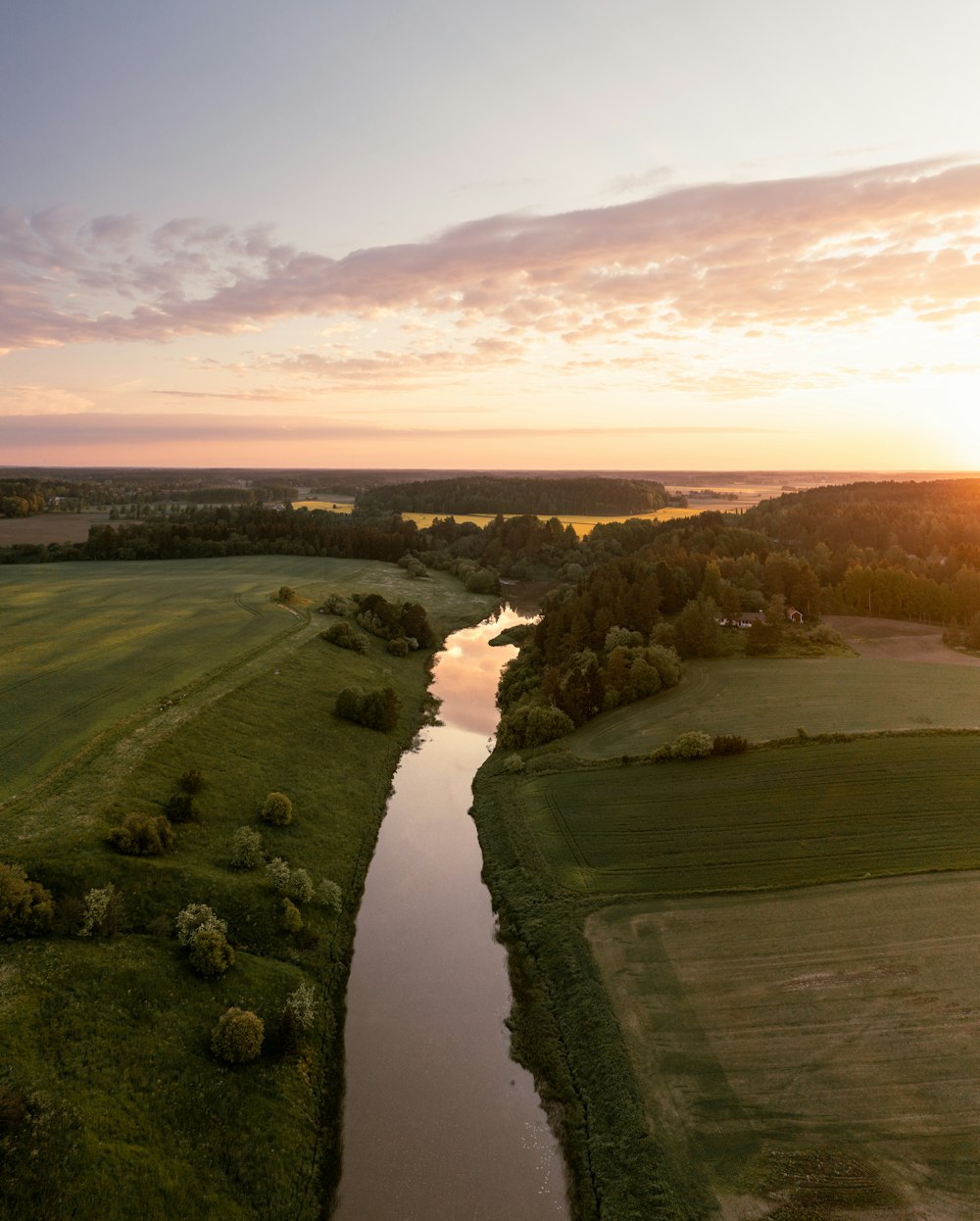 a river with grass and trees