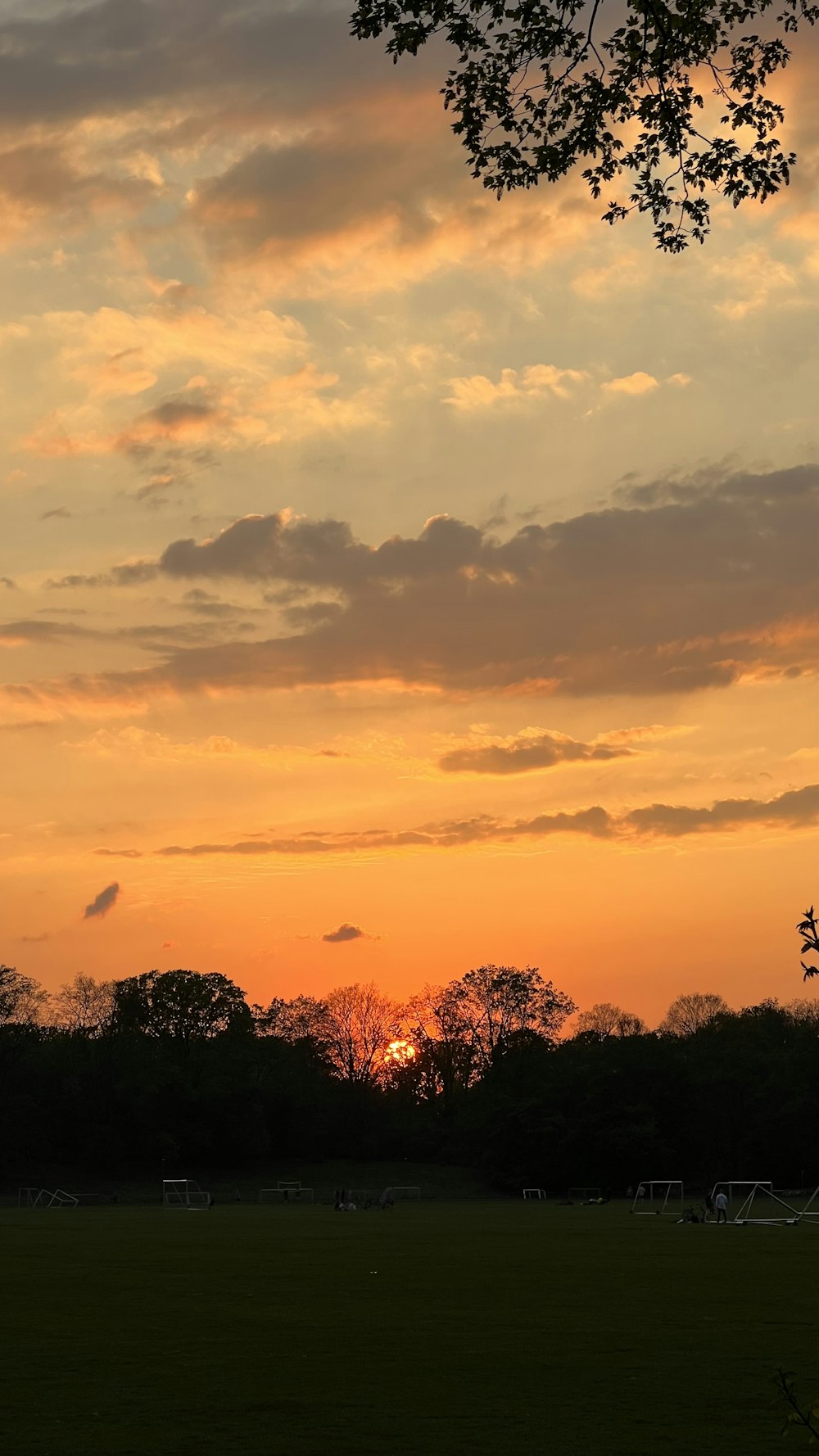 a sunset over a field