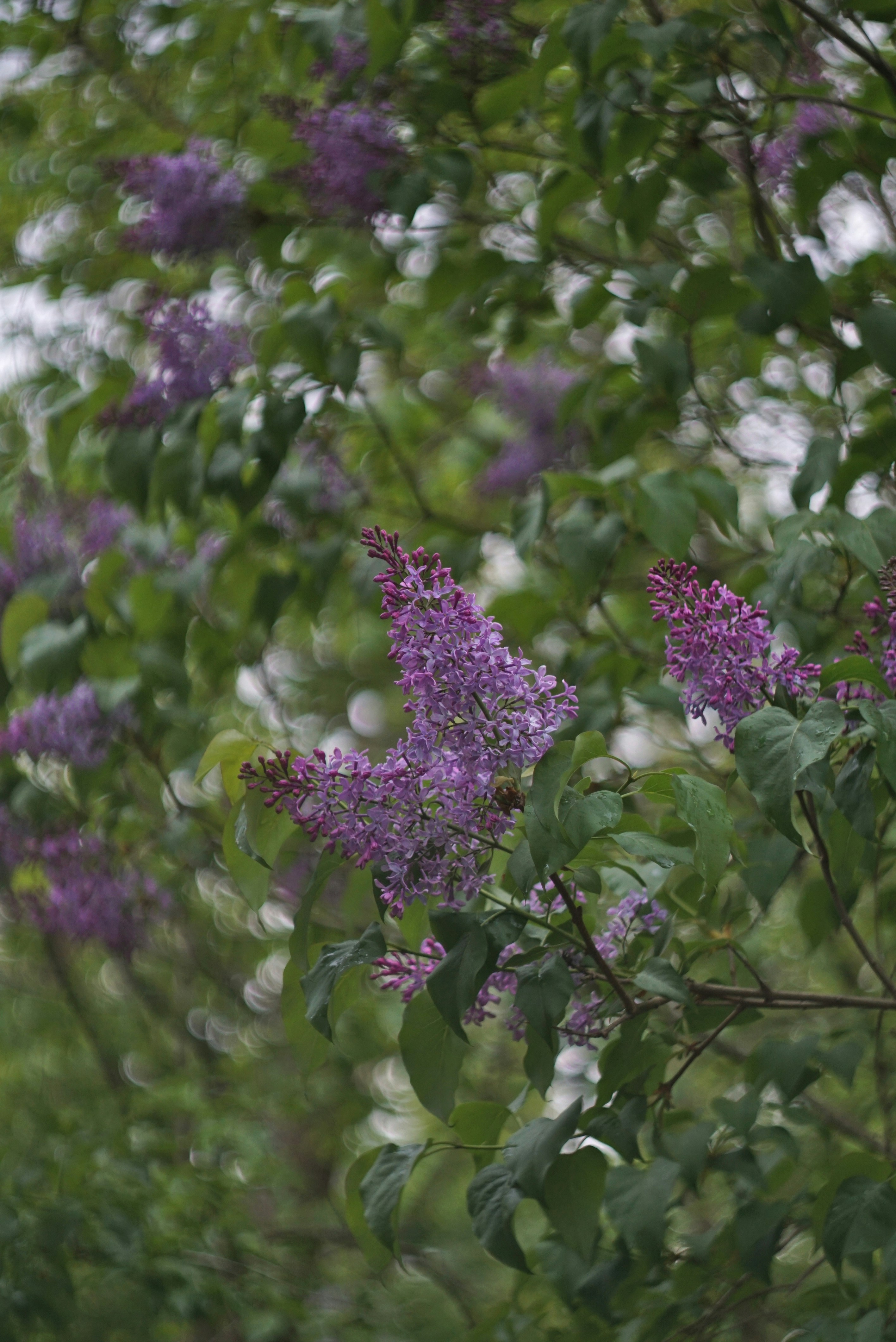 Photo by georgediama_exe