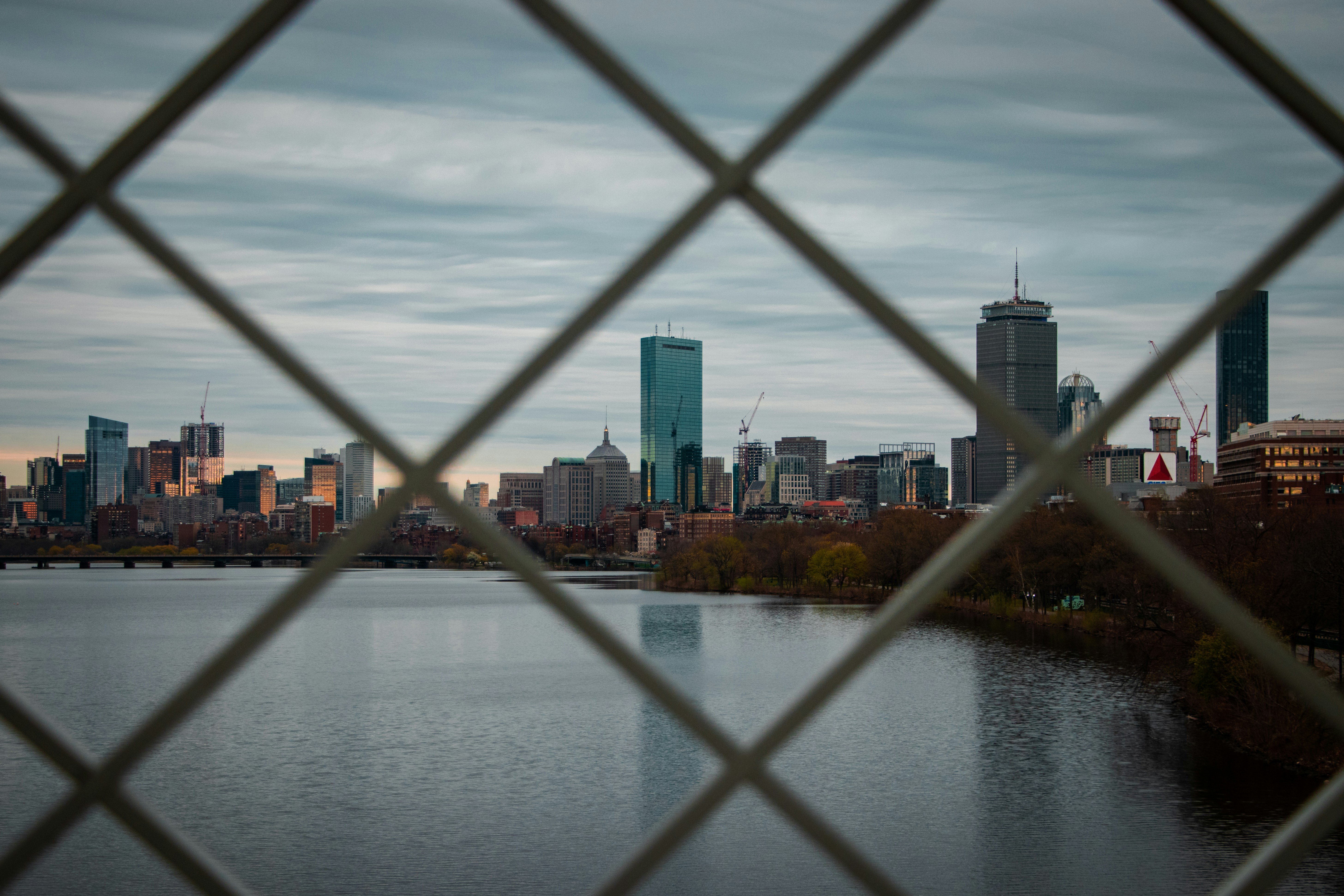 도시를 배경으로 강 위의 다리