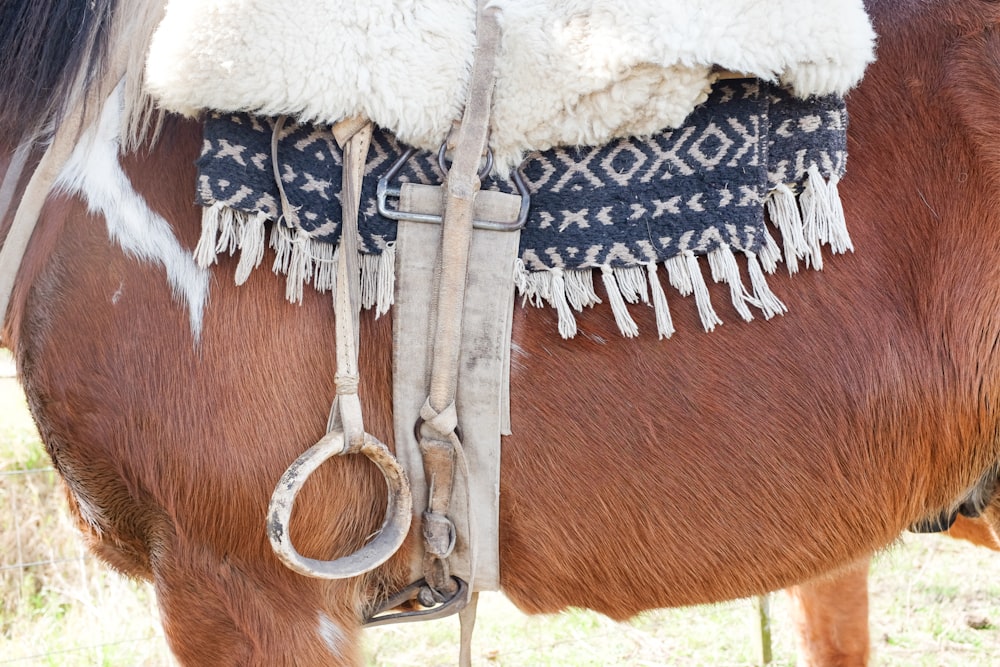 a horse with a rope tied to its neck