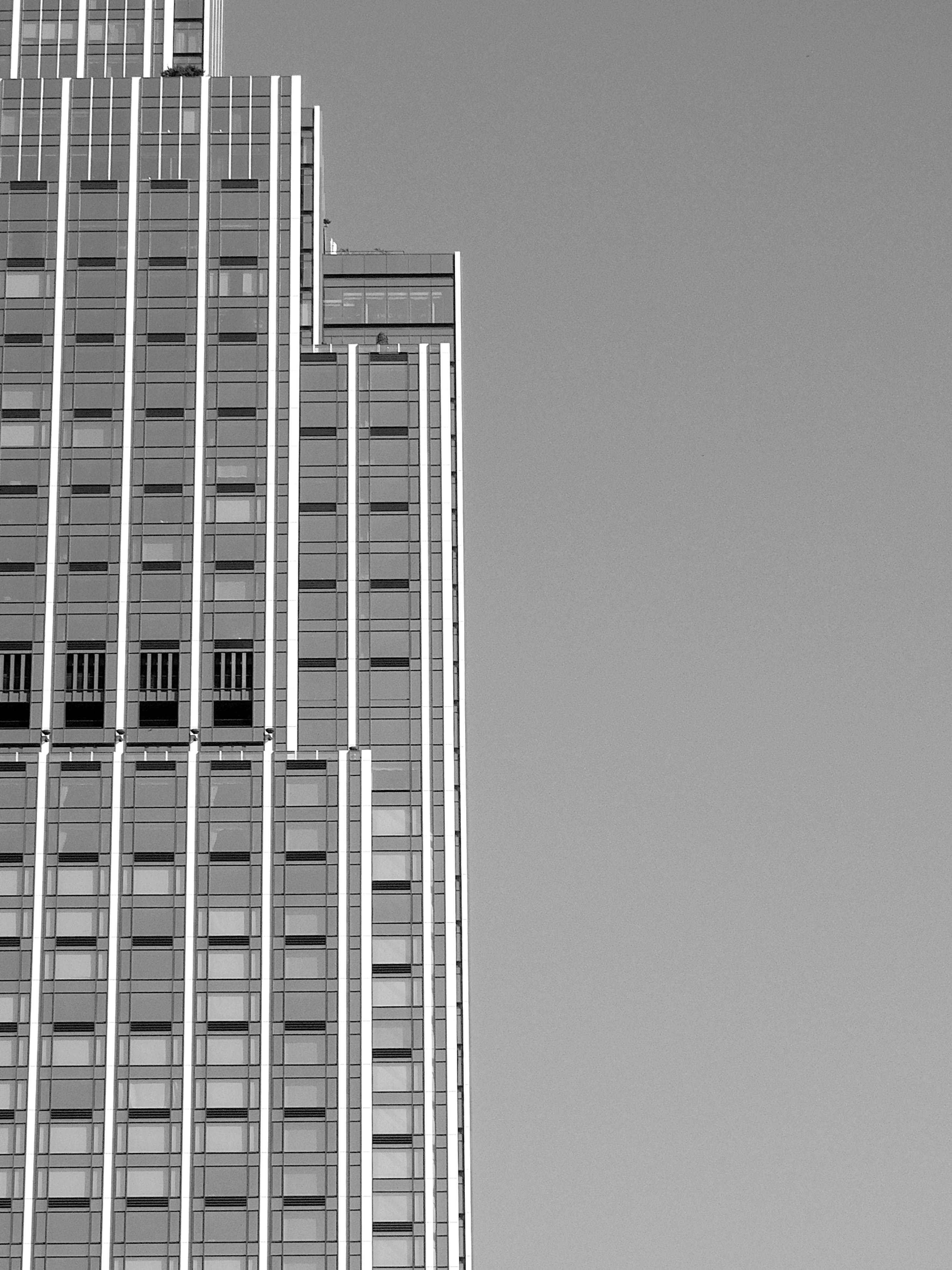 Photo by dubussiness