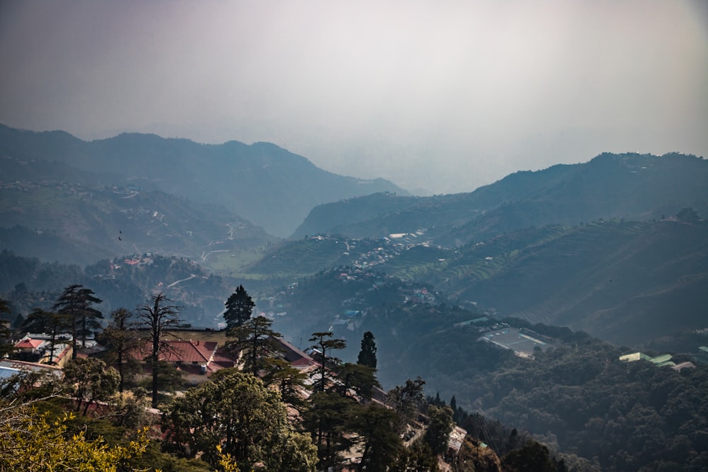 eine Landschaft mit Bäumen und Bergen