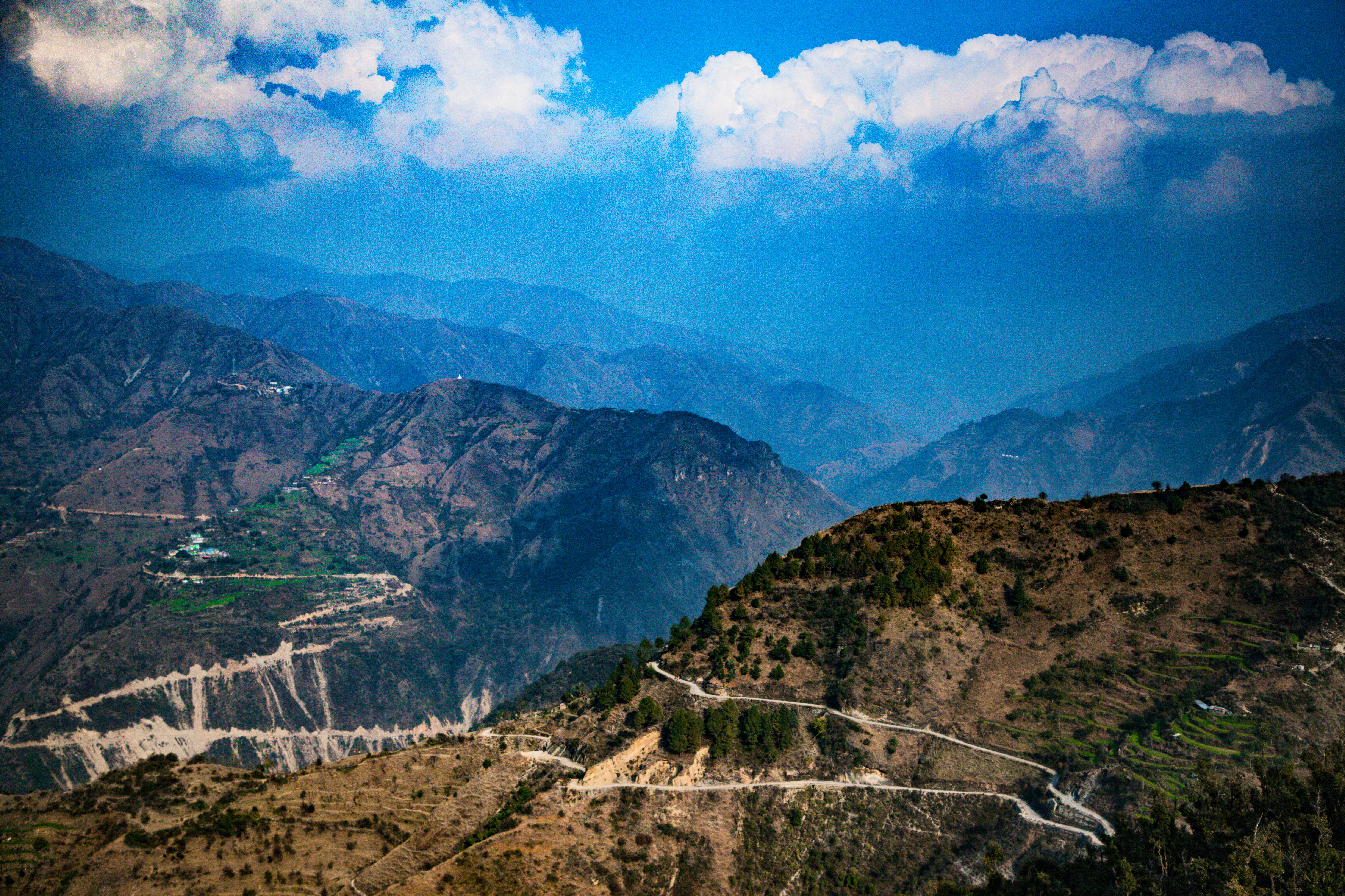 Photo by drunkenchimp