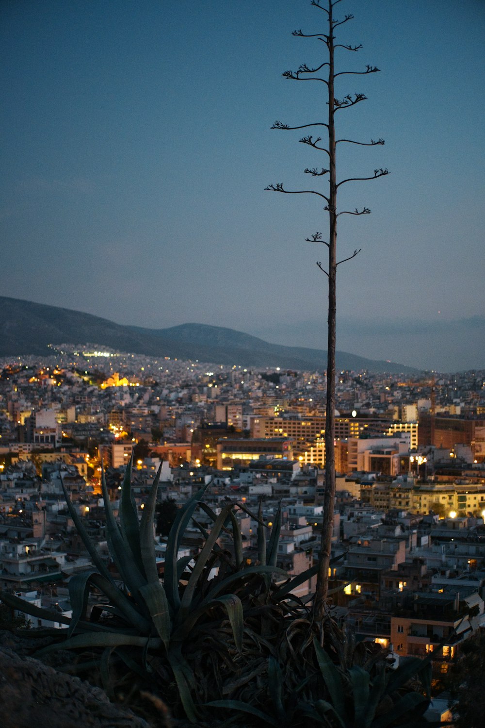 a city with lights at night