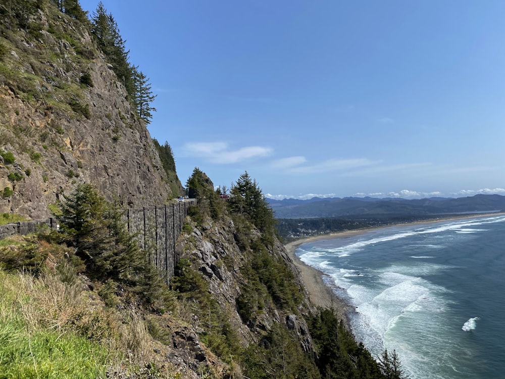 a beach with a cliff and trees