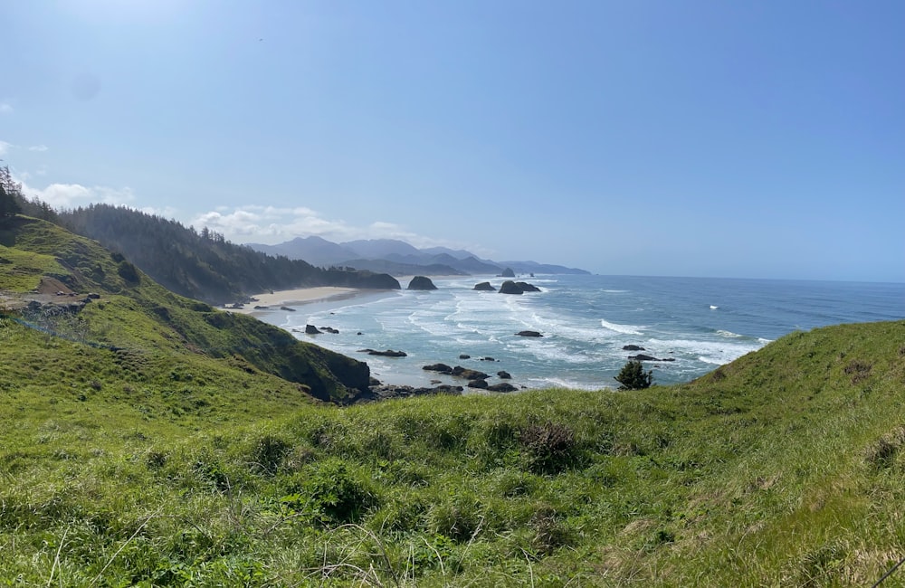 a grassy area with a body of water in the background