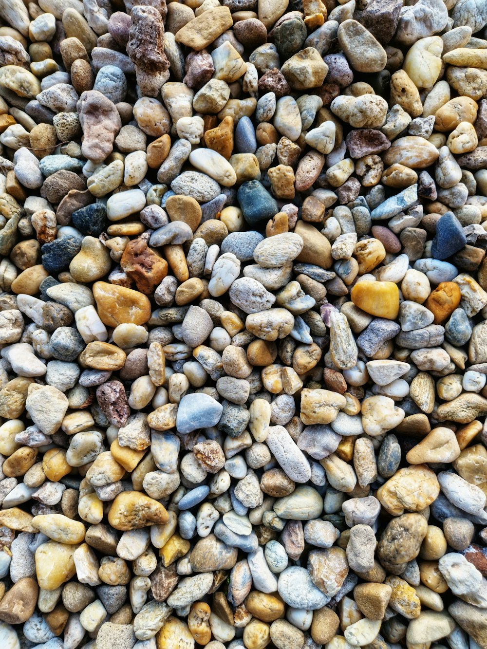 a large group of rocks