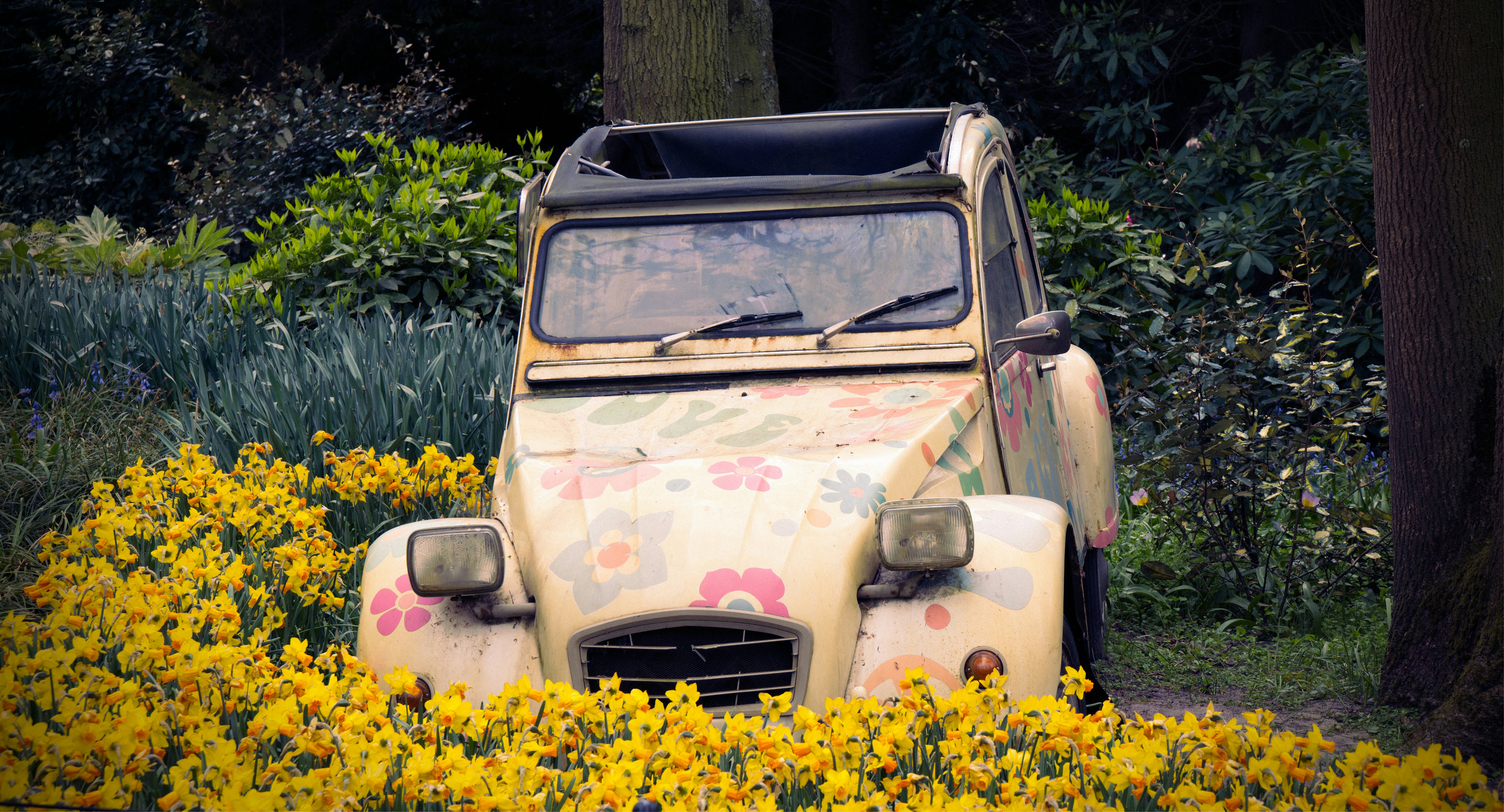 a car covered in flowers, A stranded car between the flowers