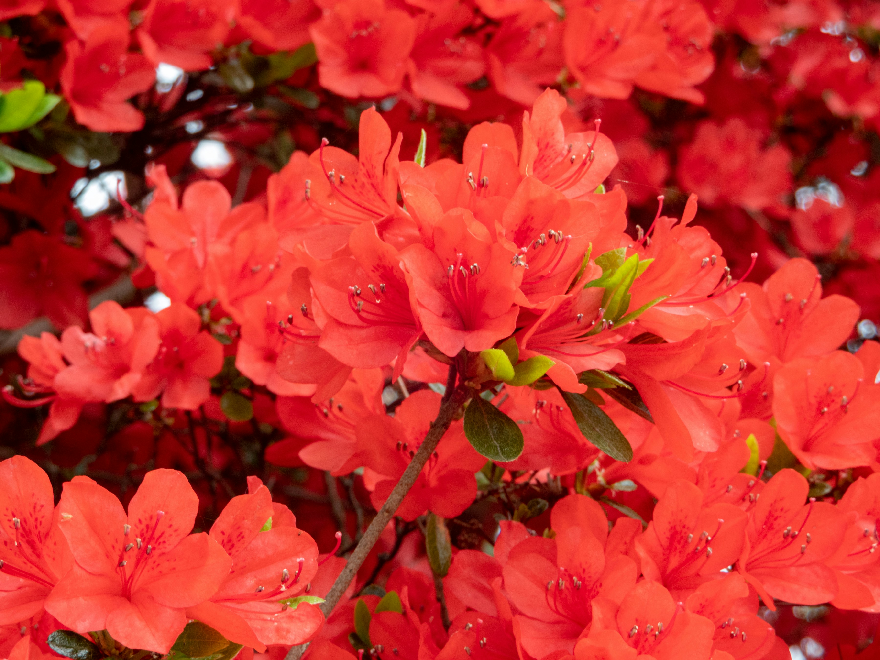 Photo by heppoko_yama