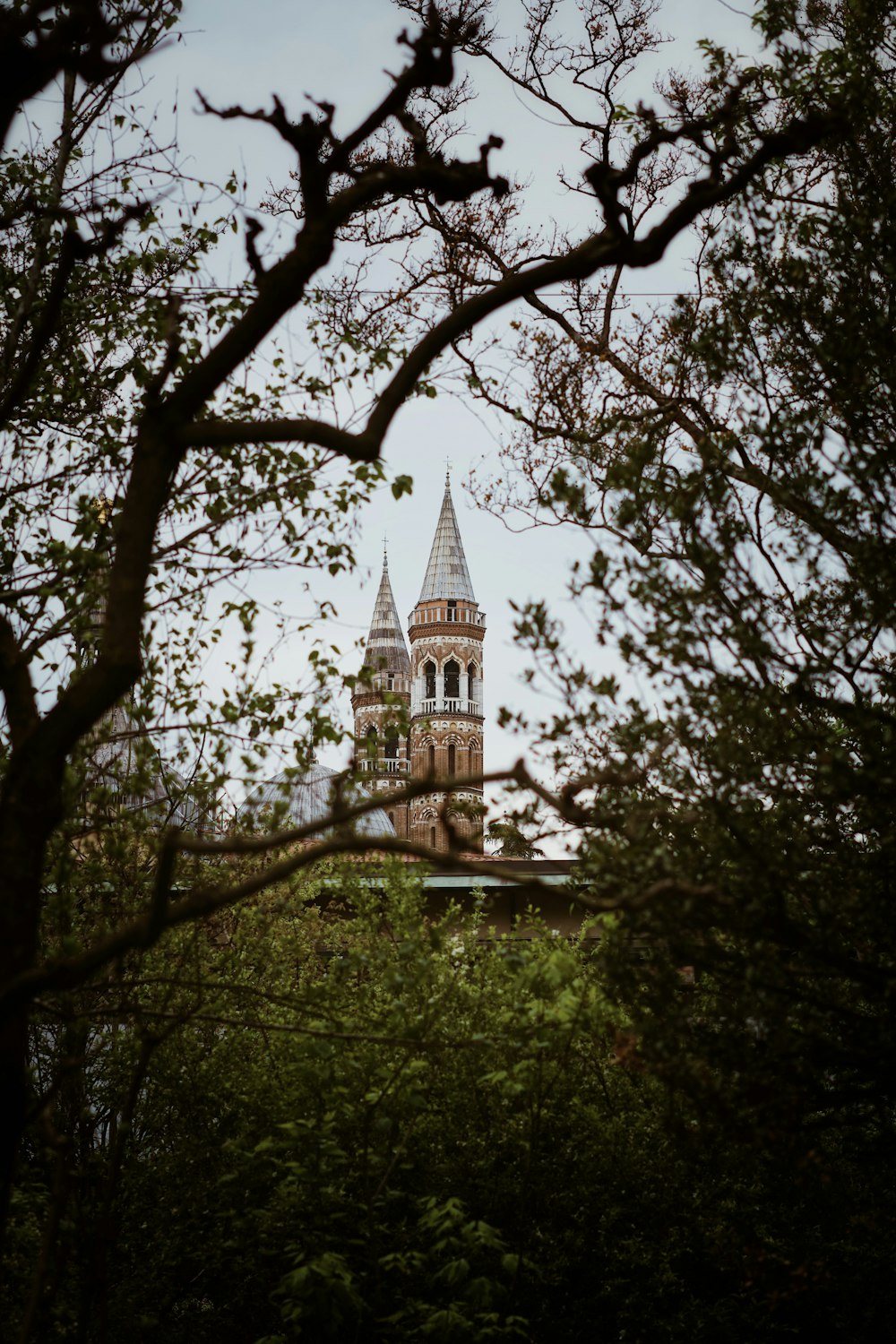 a tall building behind trees