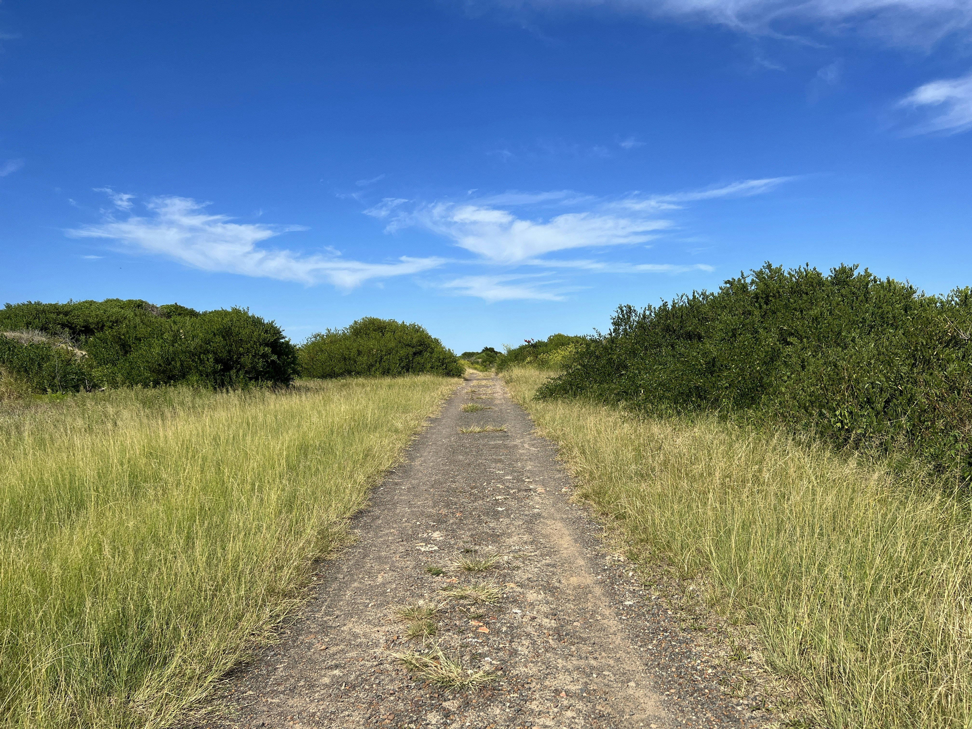 Photo by space_launch_system