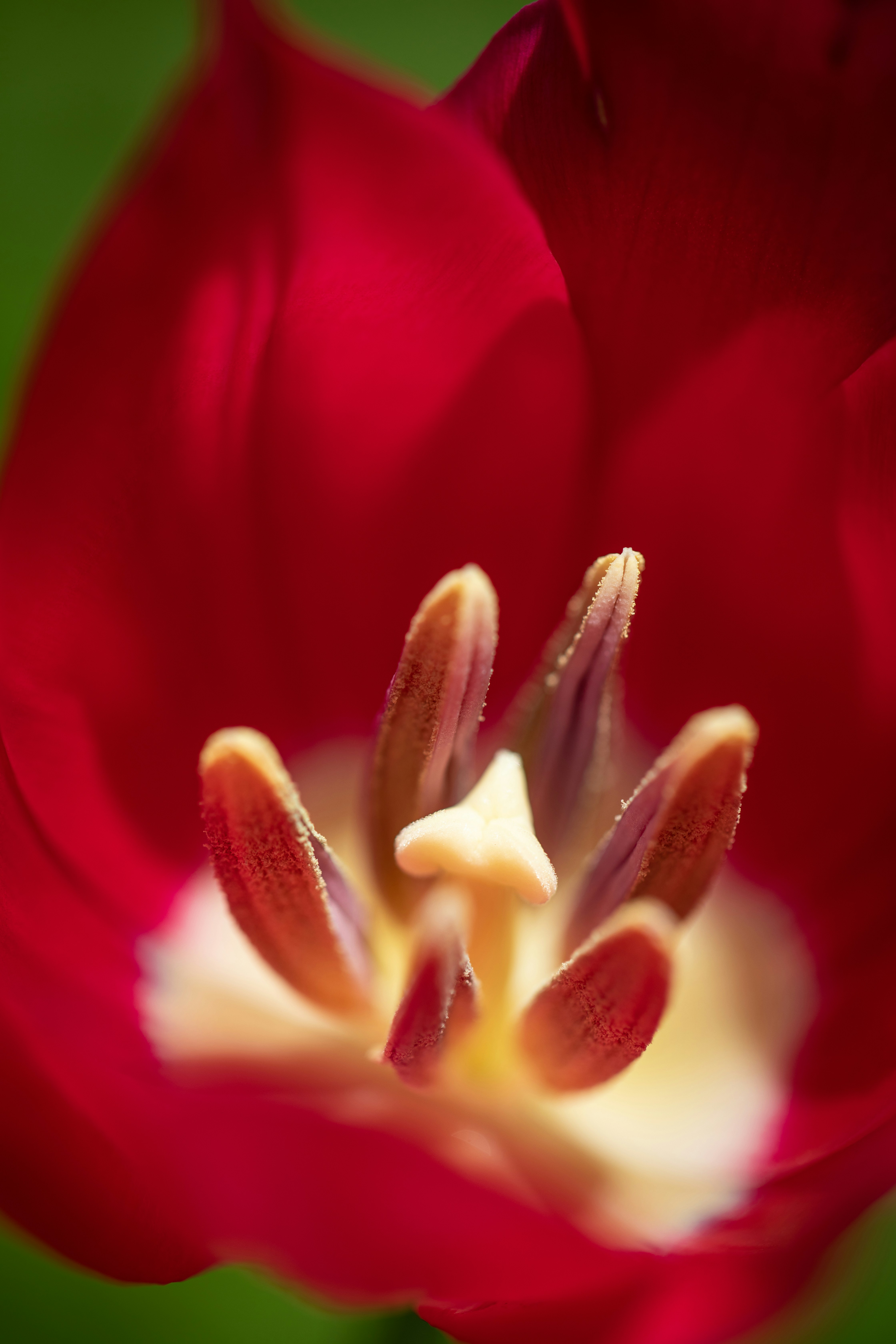 Photo by ovidiugruescu