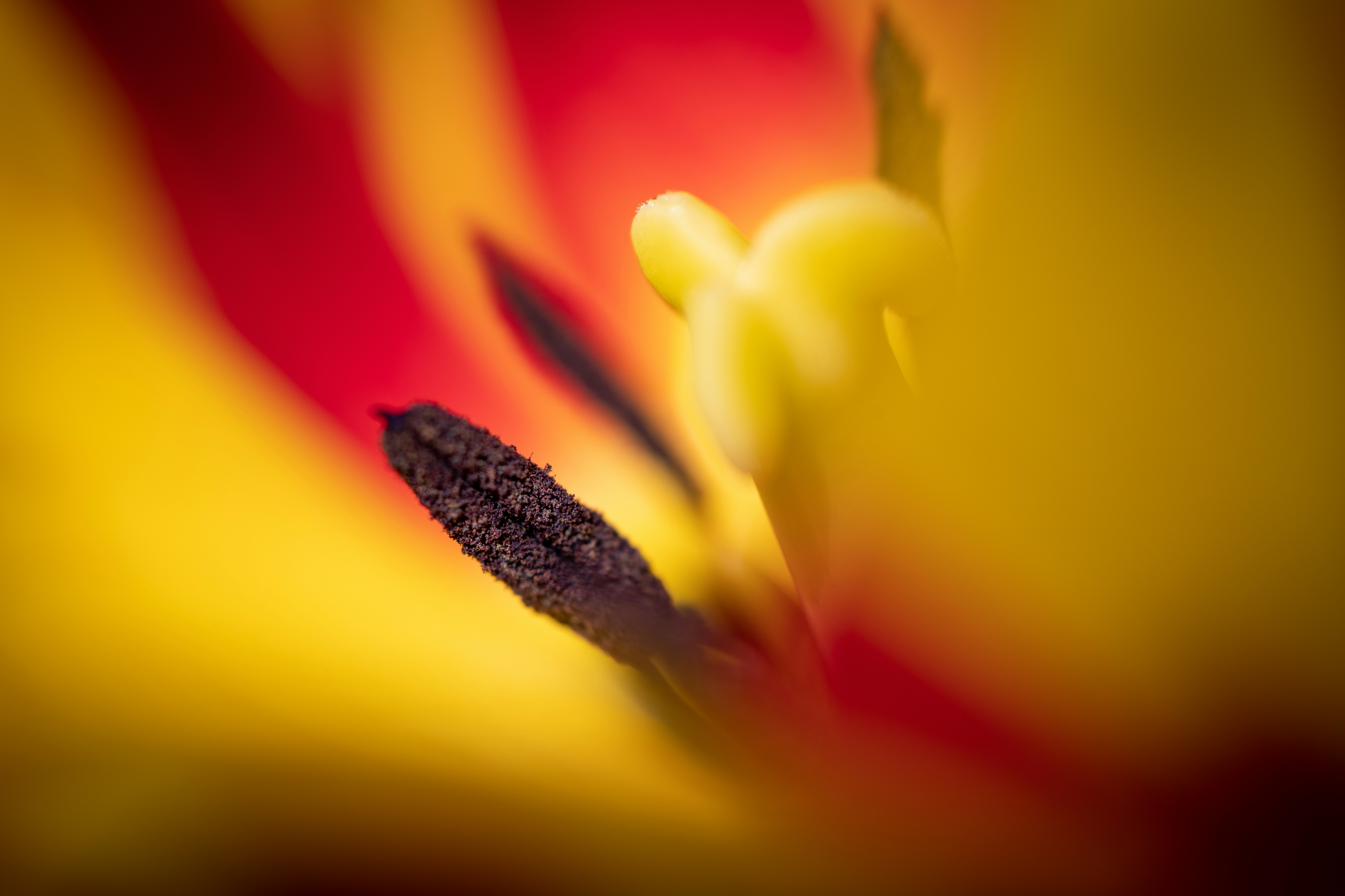 Photo by ovidiugruescu