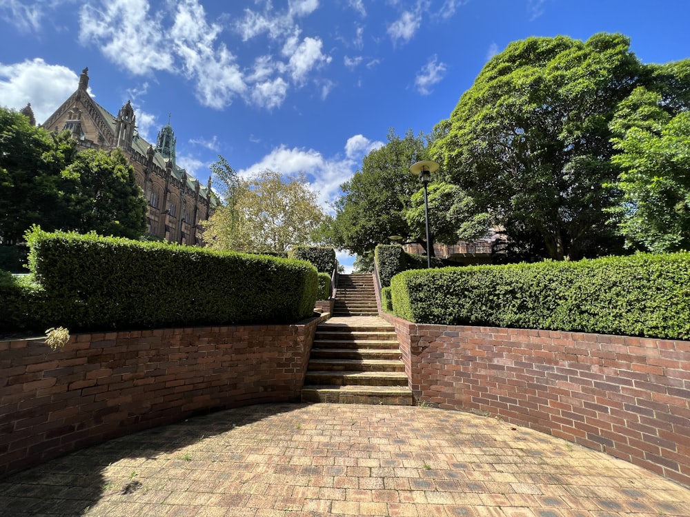 a brick walkway with bushes and trees