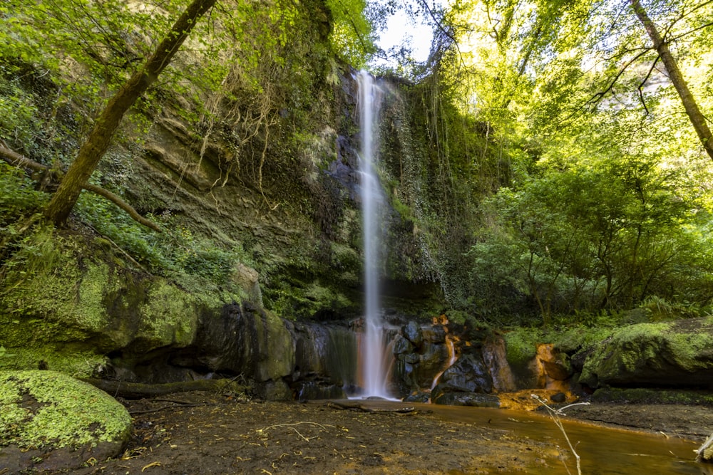 a waterfall in a forest