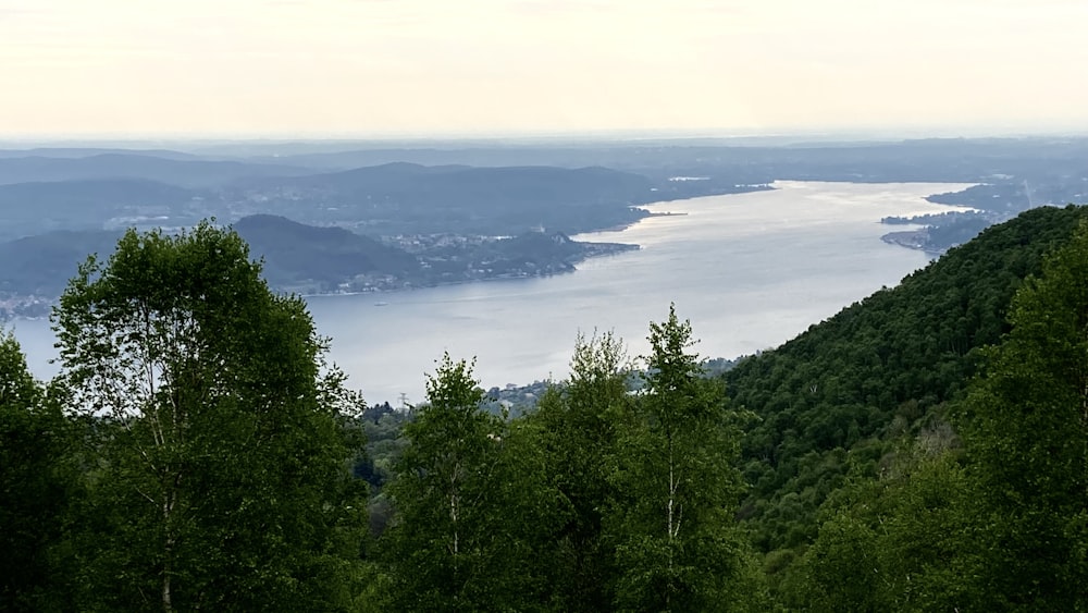 a view of a lake surrounded by trees and mountains