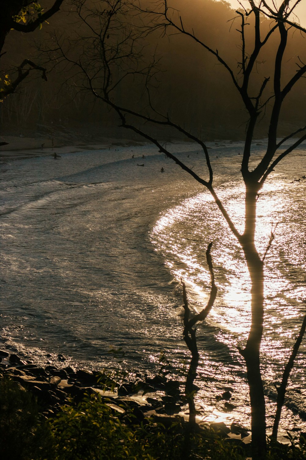 a river with trees on the side