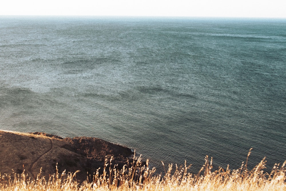 a body of water with grass and sand on the side