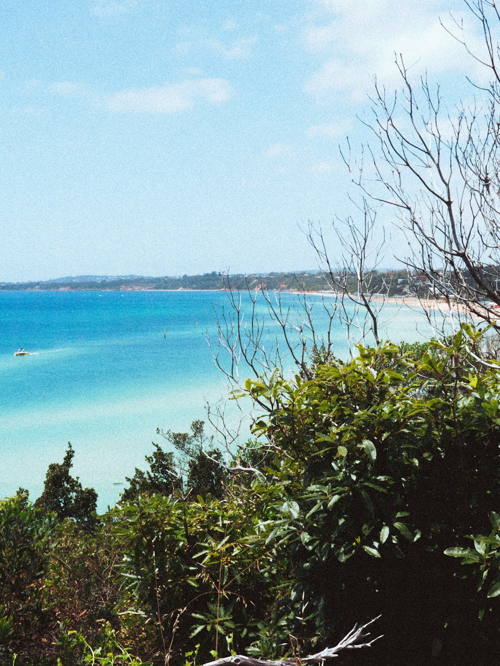 a body of water with trees around it