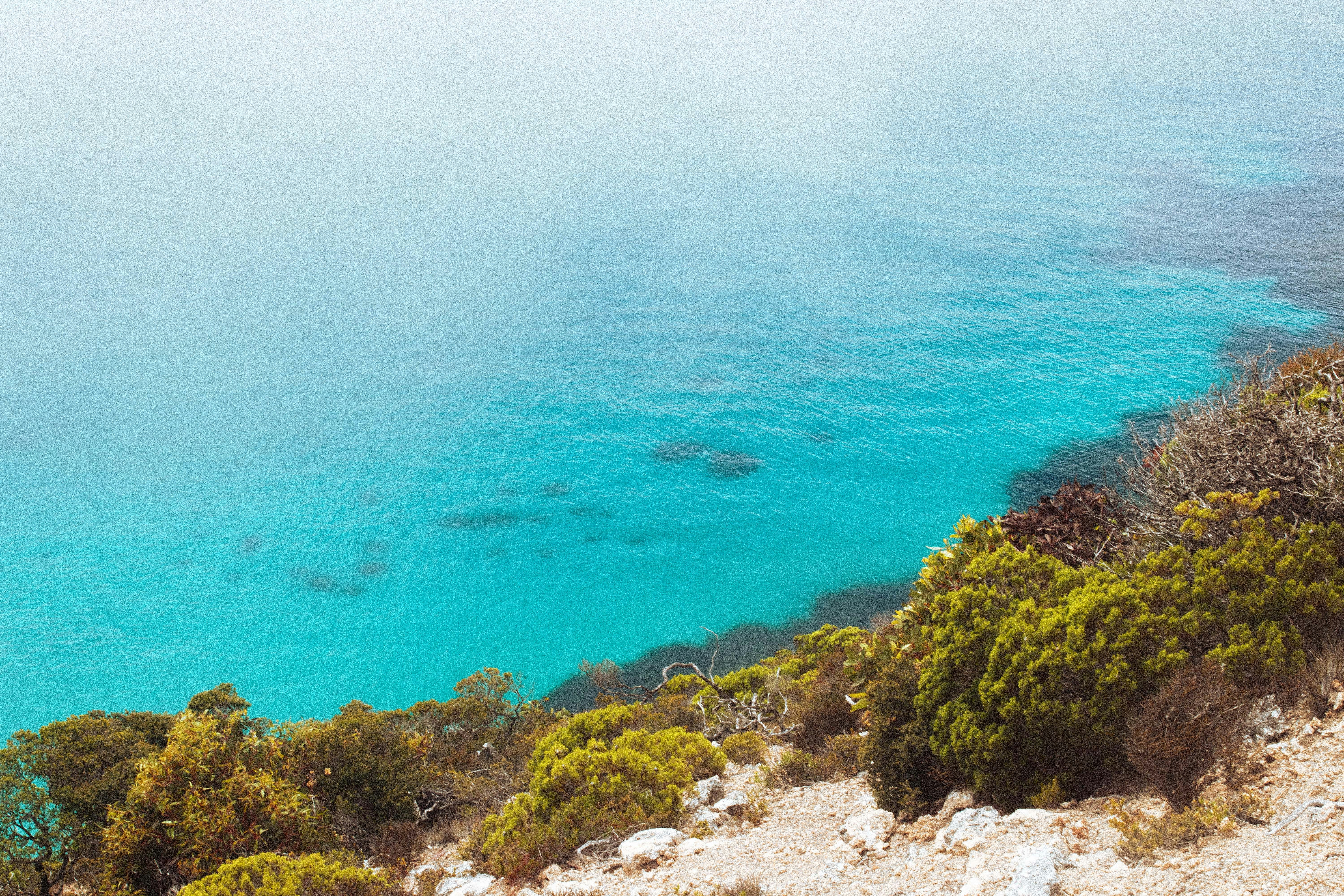 Foto Una playa rocosa con árboles y un cuerpo de agua al fondo – Imagen ...