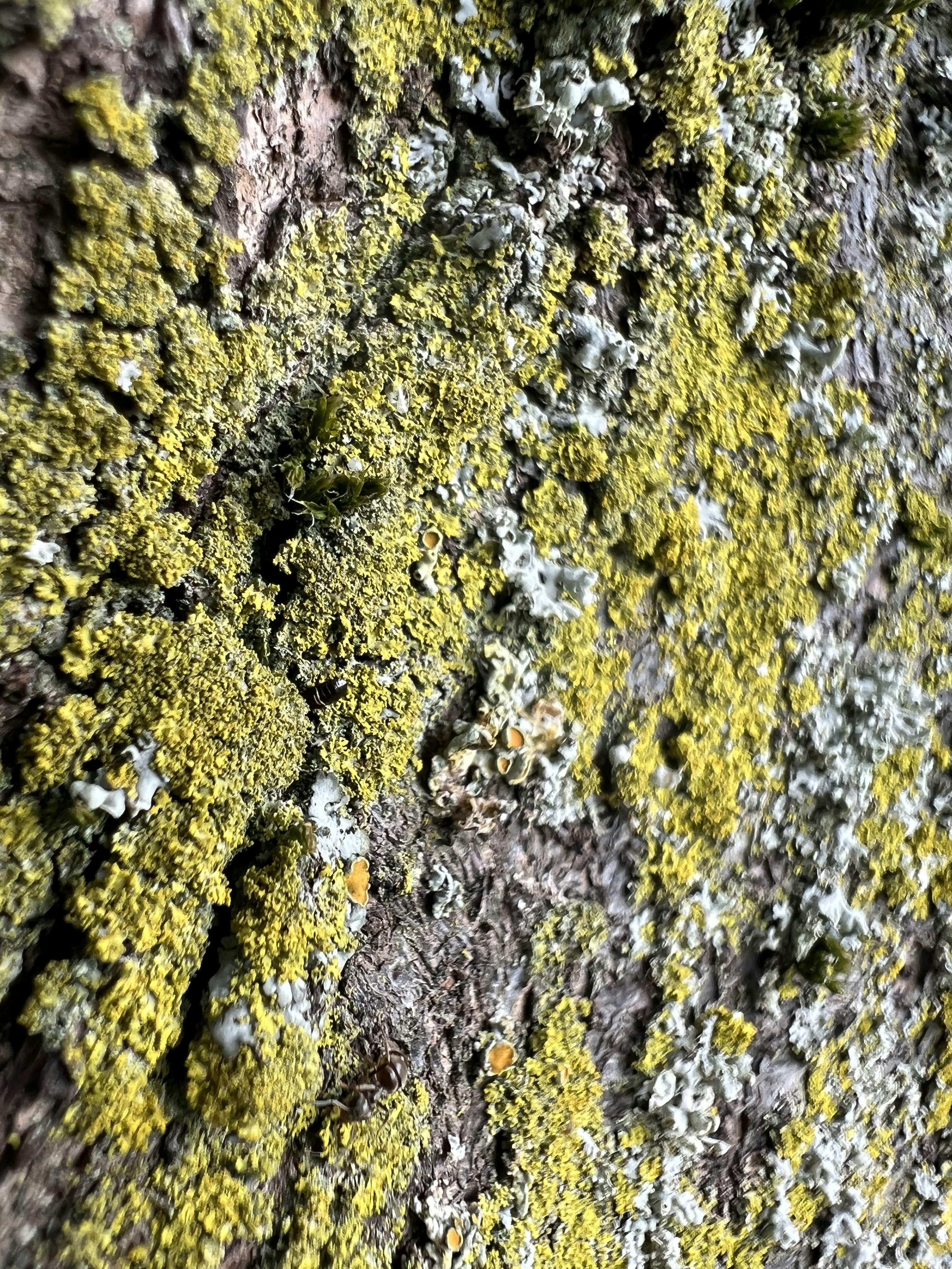 Photo by journey_ghost_444