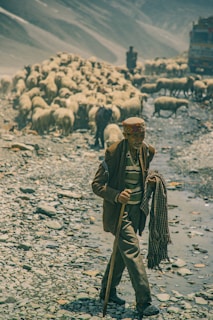 a person holding a gun