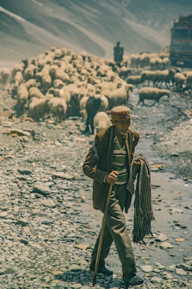 a person holding a gun