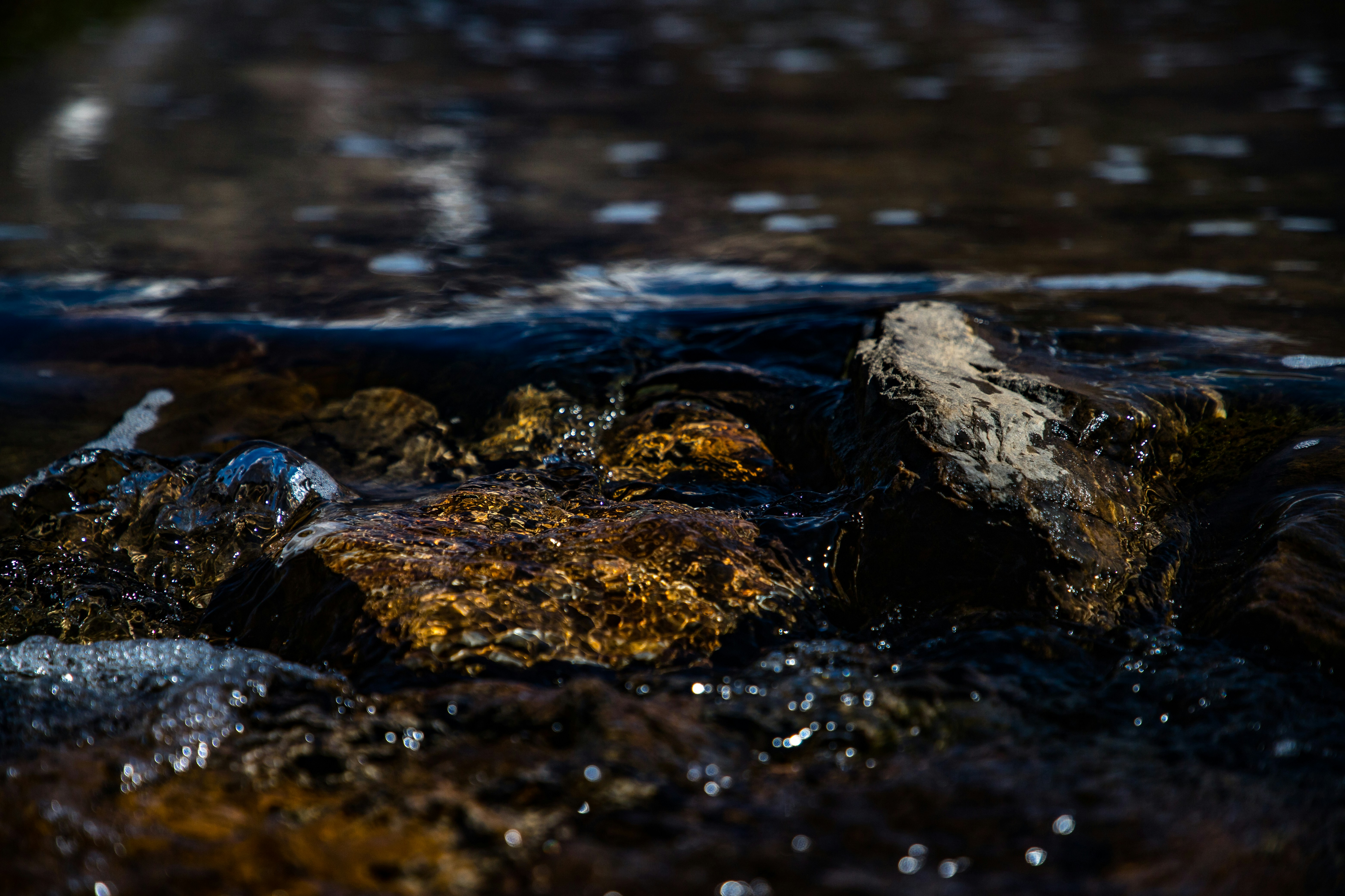 Photo by drunkenchimp