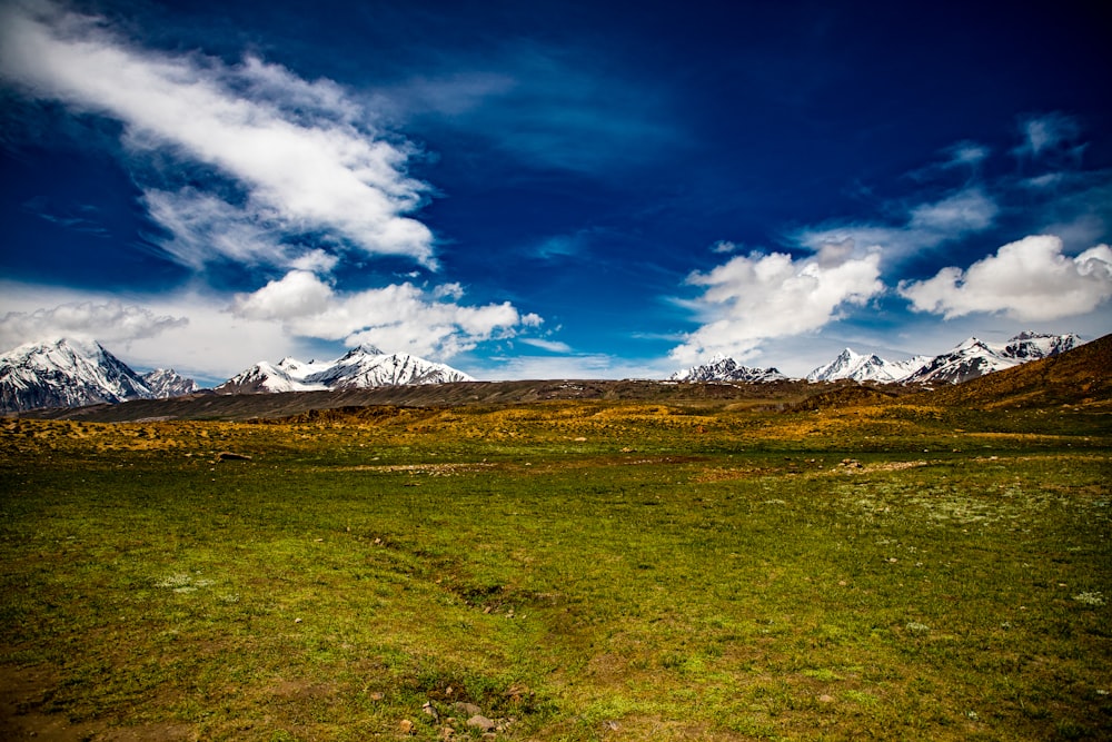 a grassy field with mountains in the background